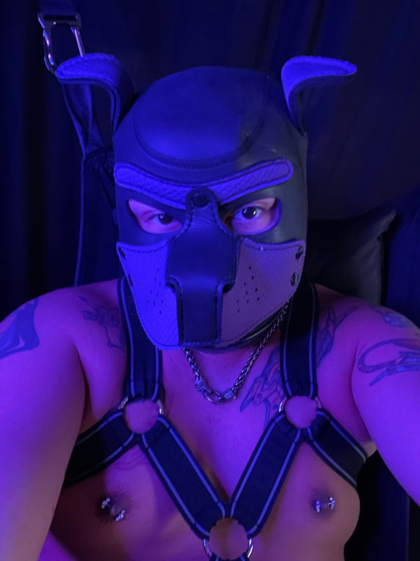 Pup Vexus - créateur OnlyFans avec 0 avis (0.0/5 étoiles)