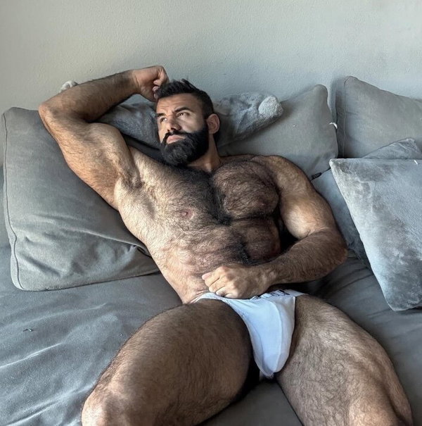 PERSIAN WOLF