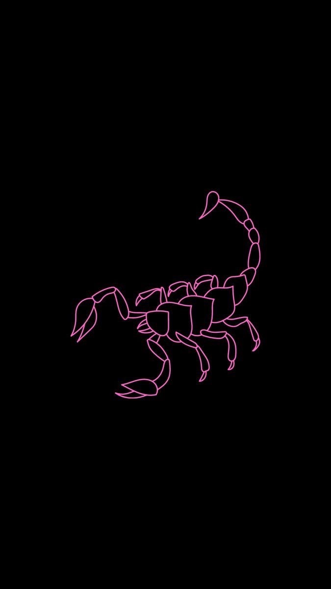 babyscorpio