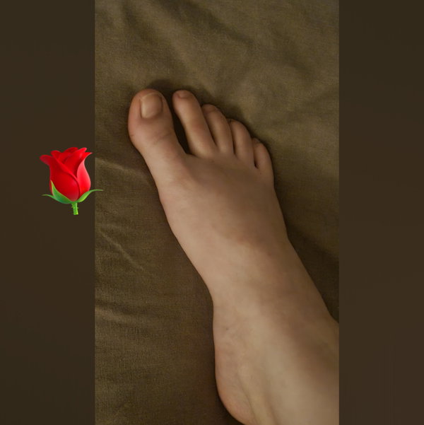 Brittany Rose - OnlyFans creator with 0 reviews (0.0/5 stars)