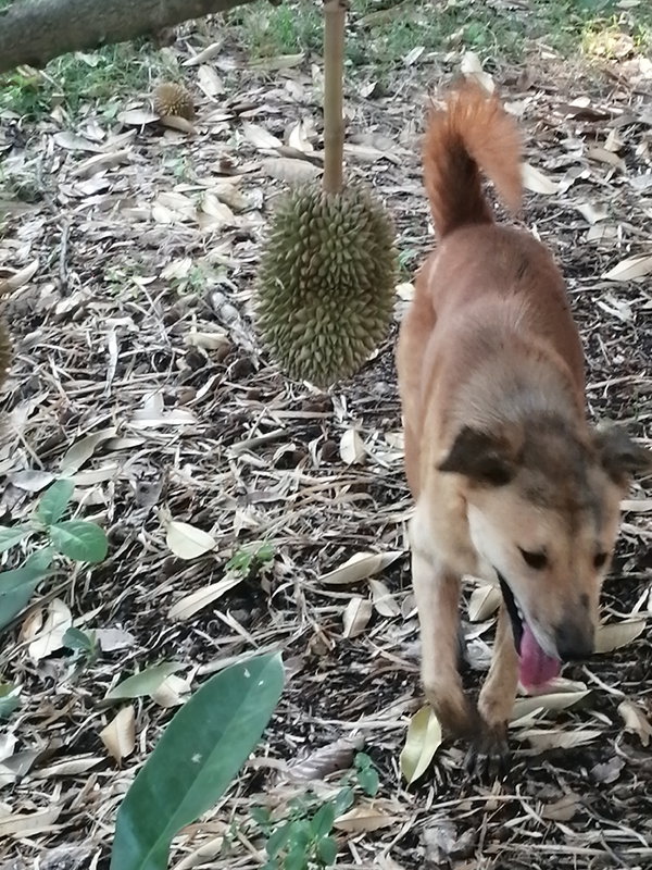 DJ_amazing_ X - OnlyFans creator with 0 reviews (0.0/5 stars)