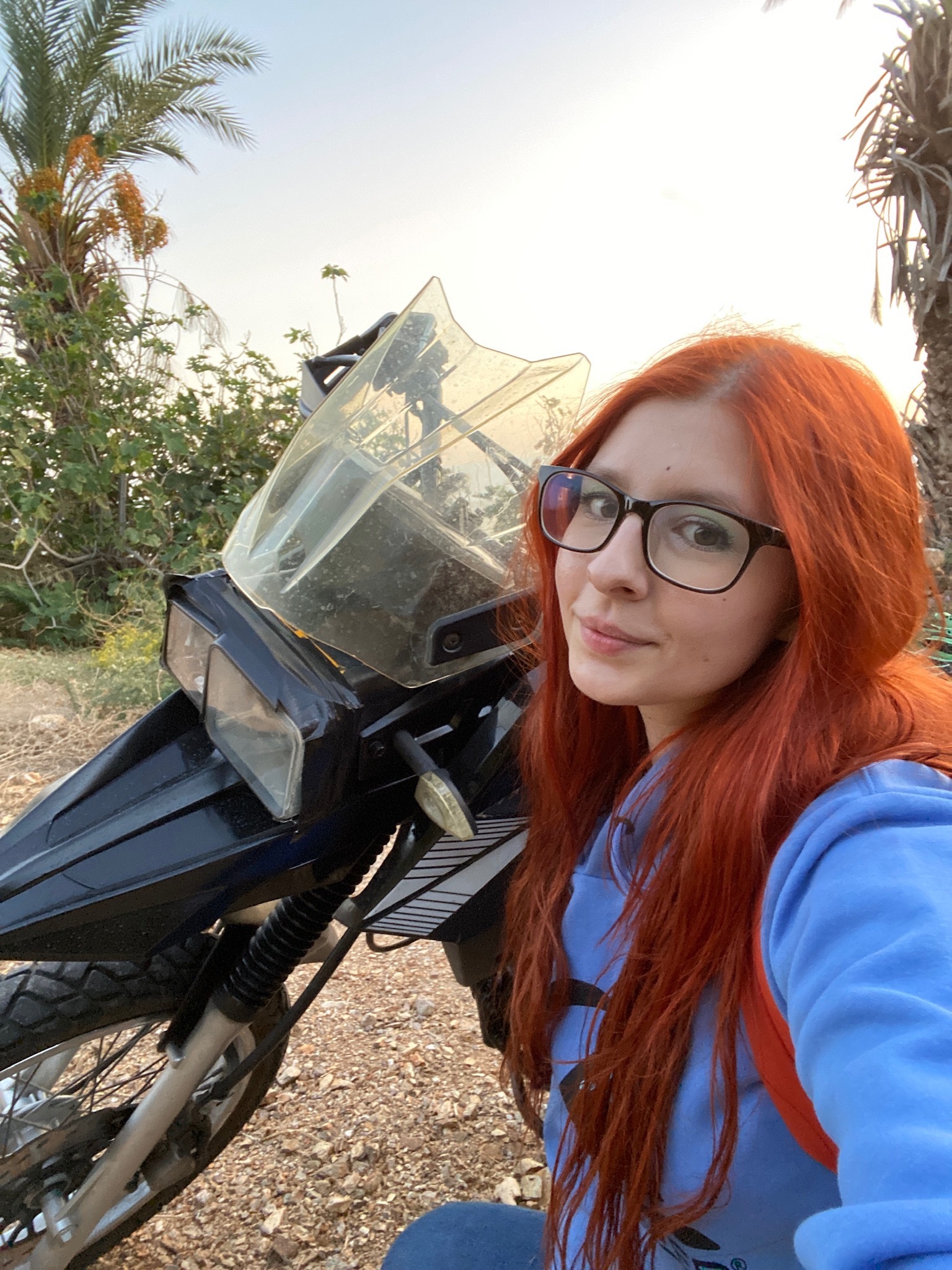 evie davis