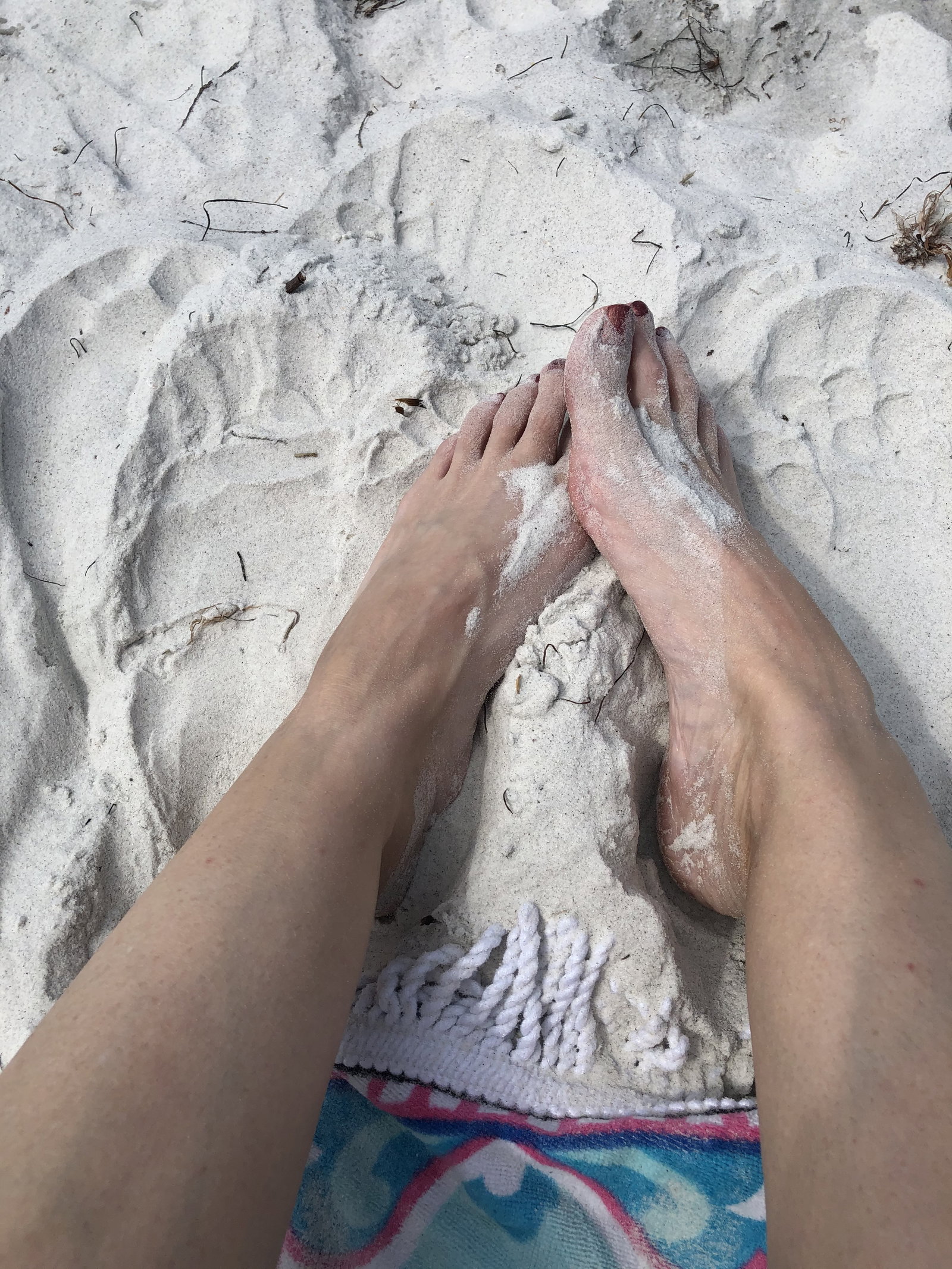 Andi Plastick header