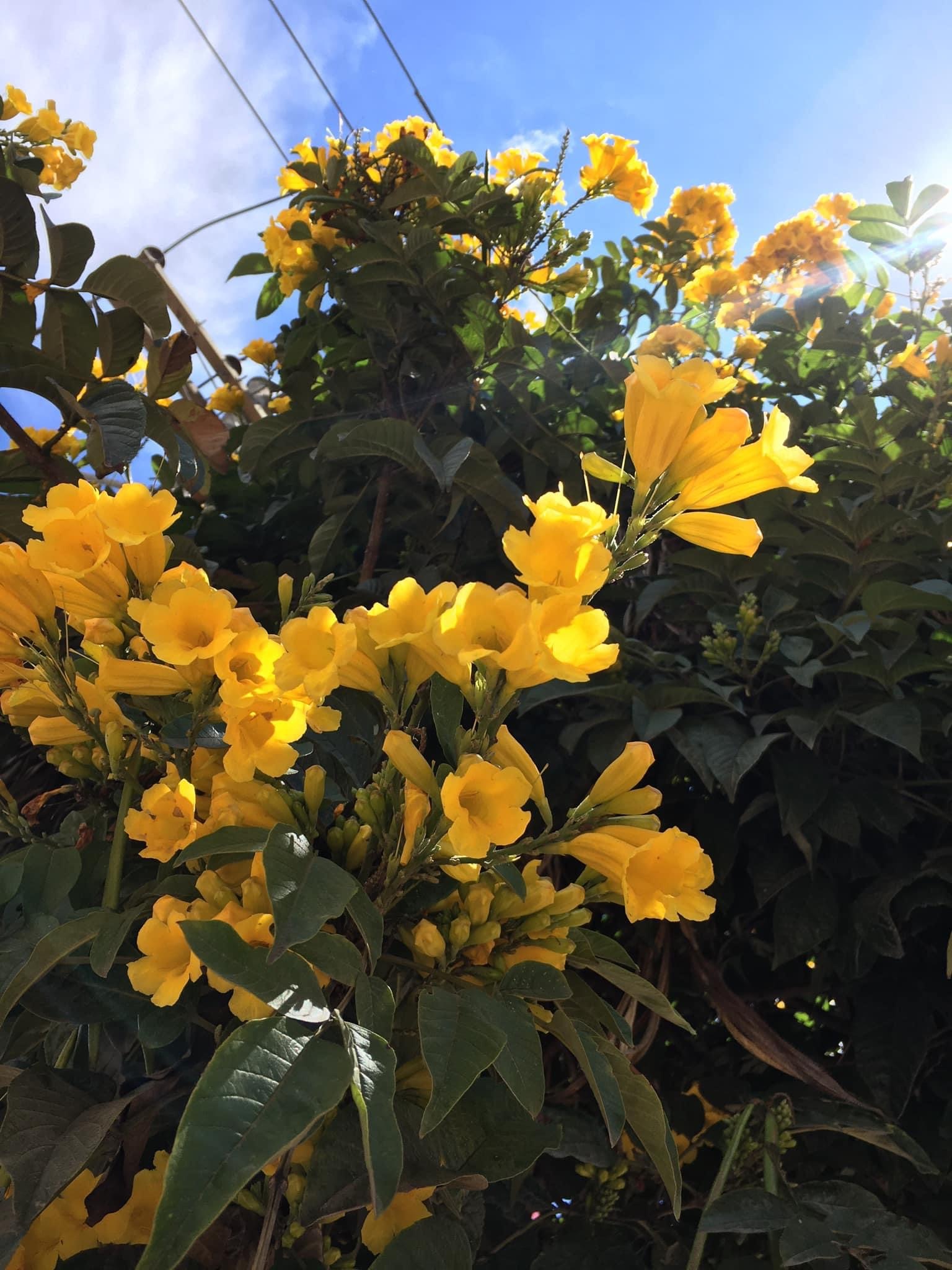 Andres Joven Gay header