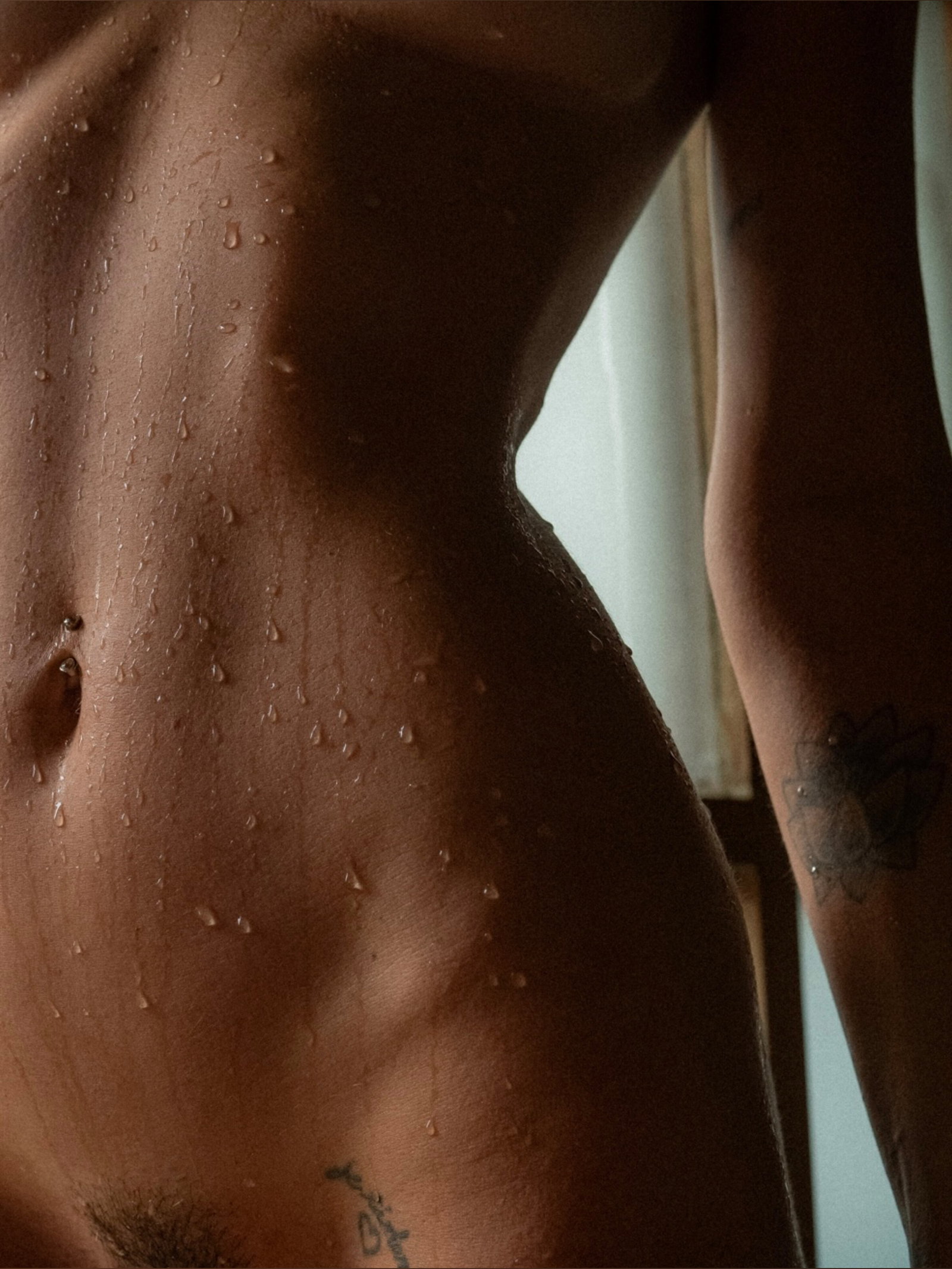 ava header