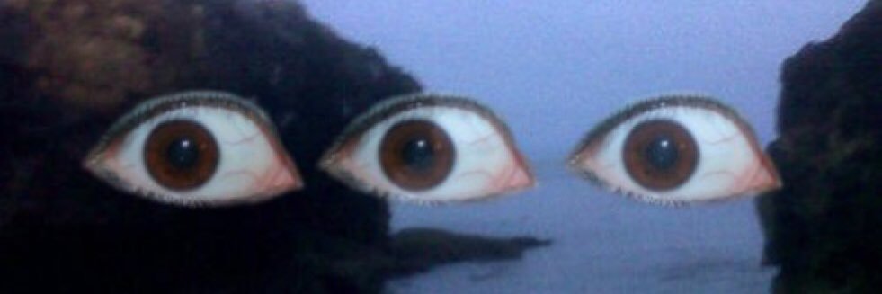 Bailey Jay header
