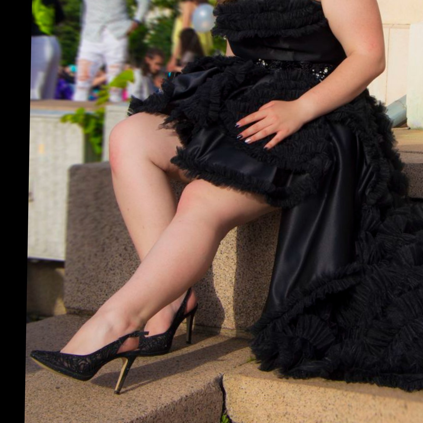 bambi_premium header