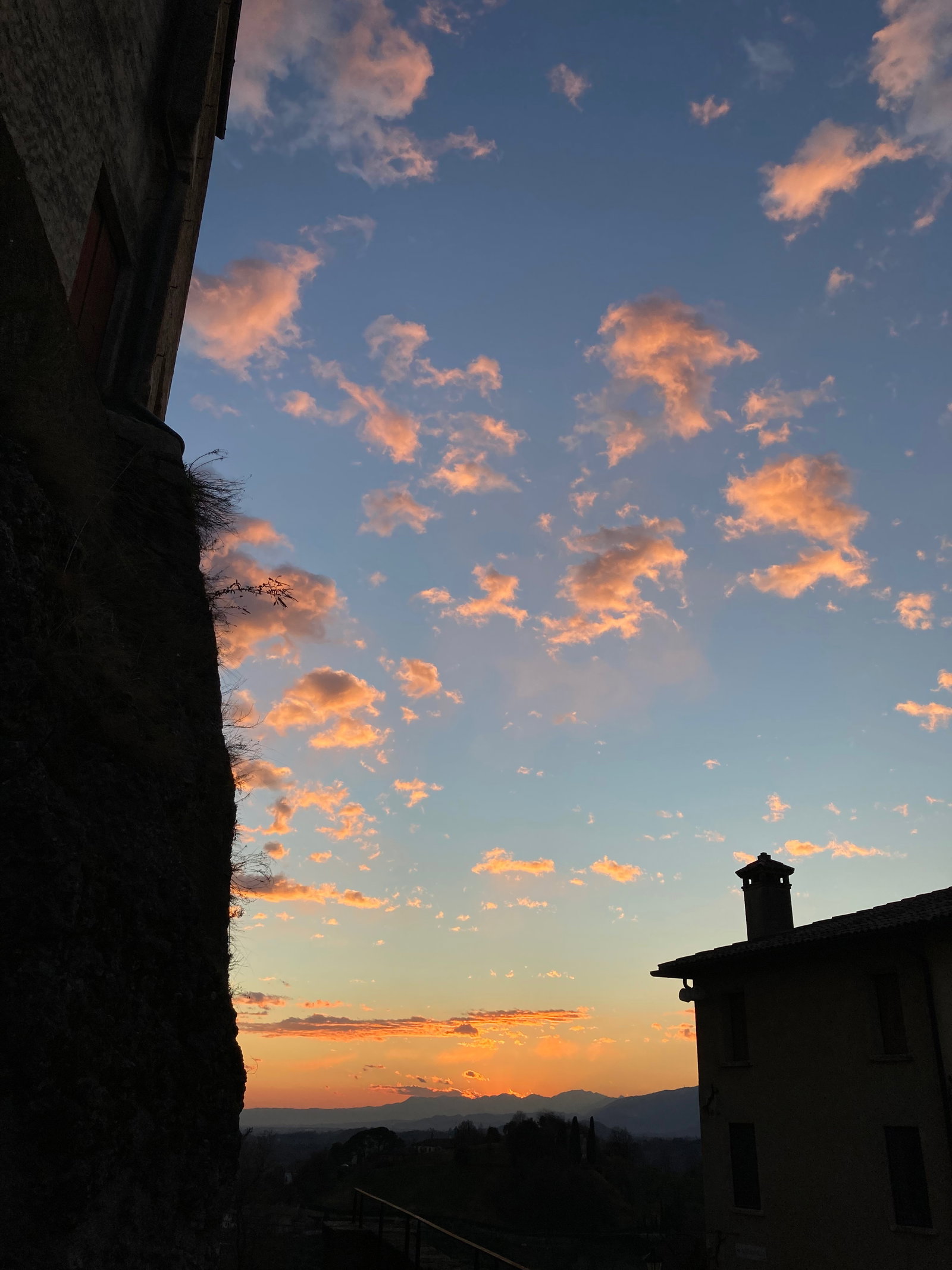 Bazzo123 header