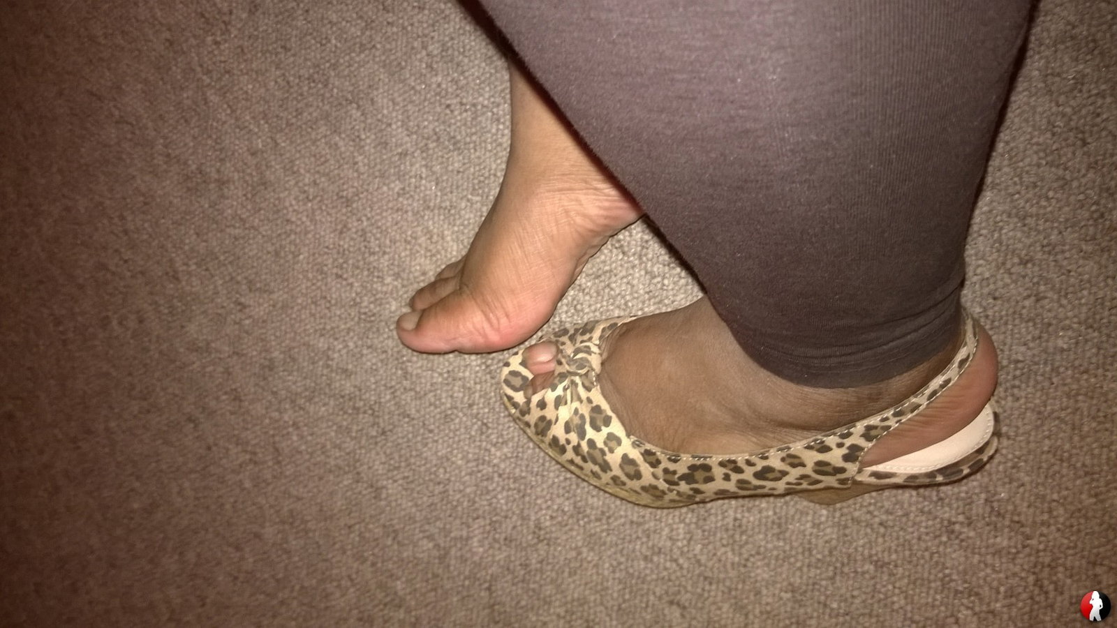 bbw ebony header