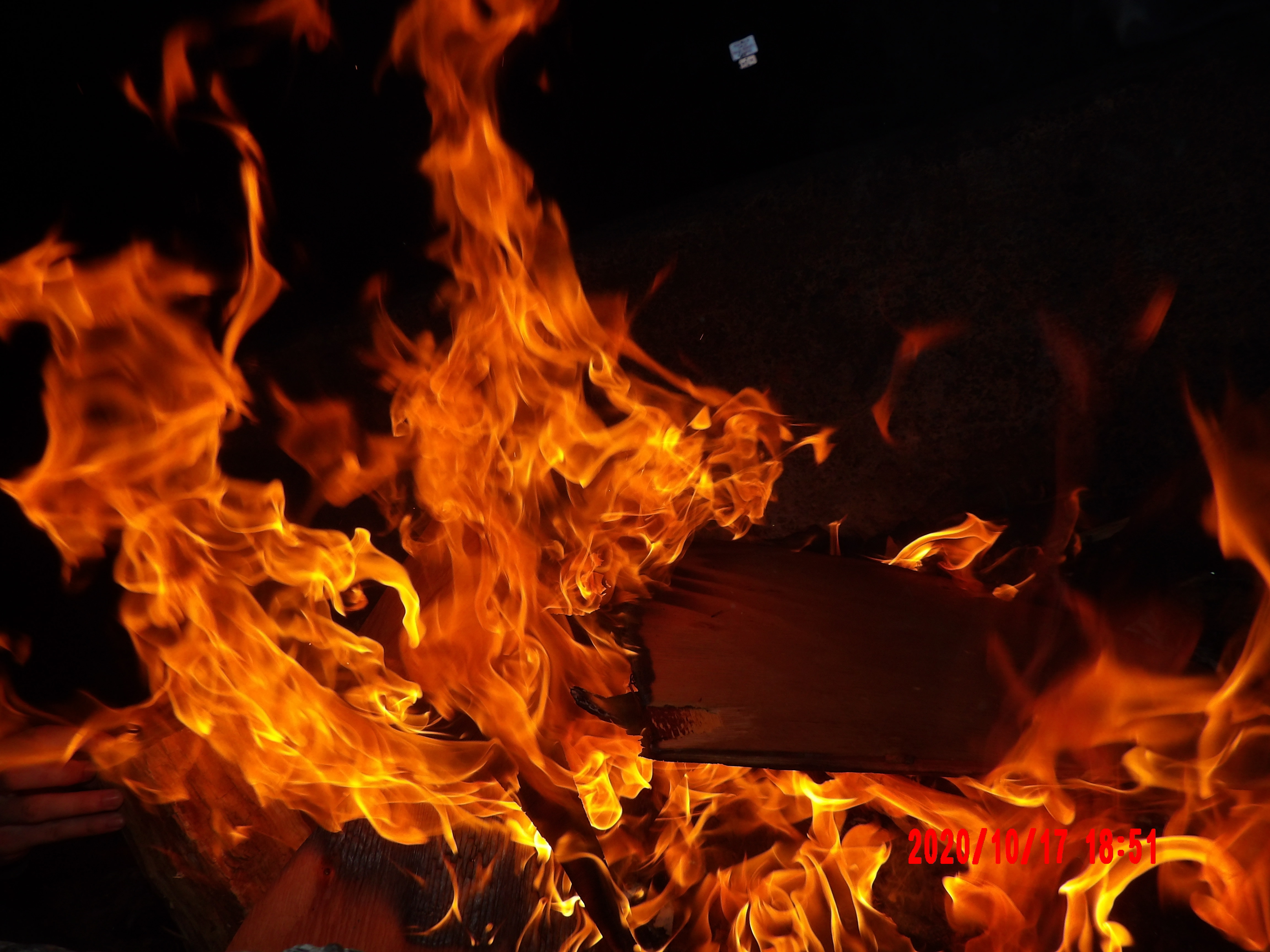 Geenie Rybakowski header