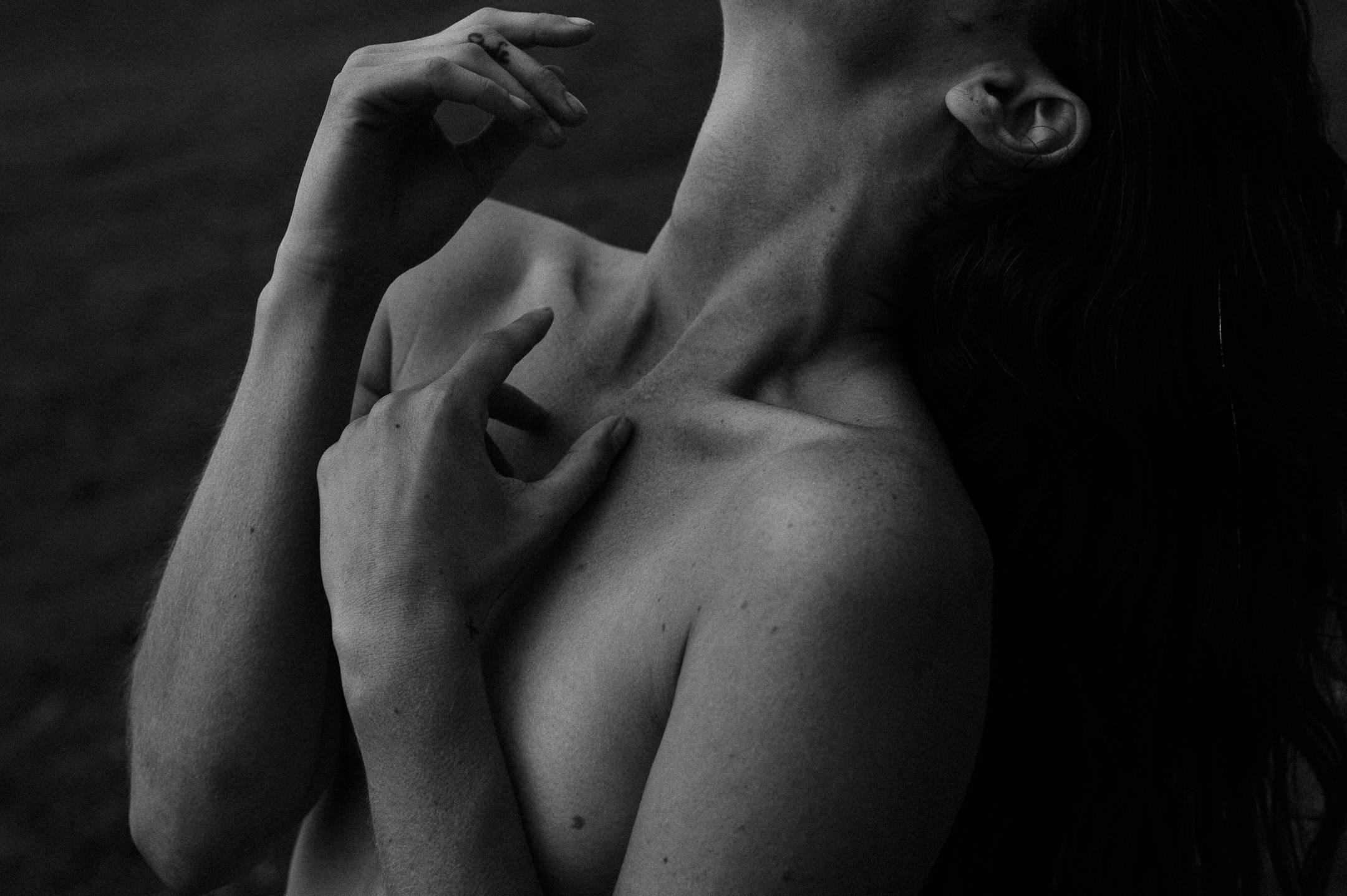 Bella Donna header