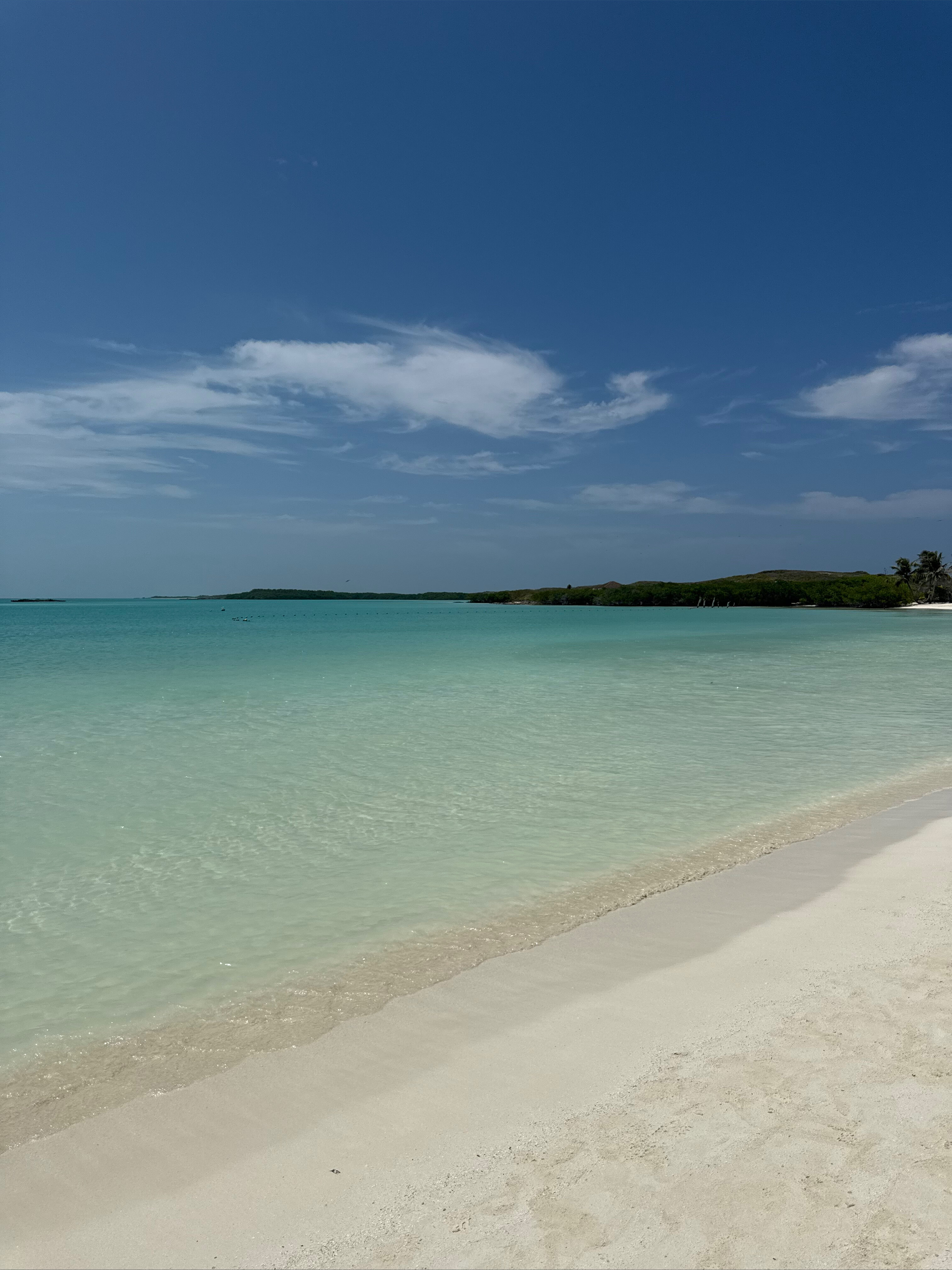 Busty Sweetheart header