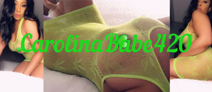 Carolina Babe header