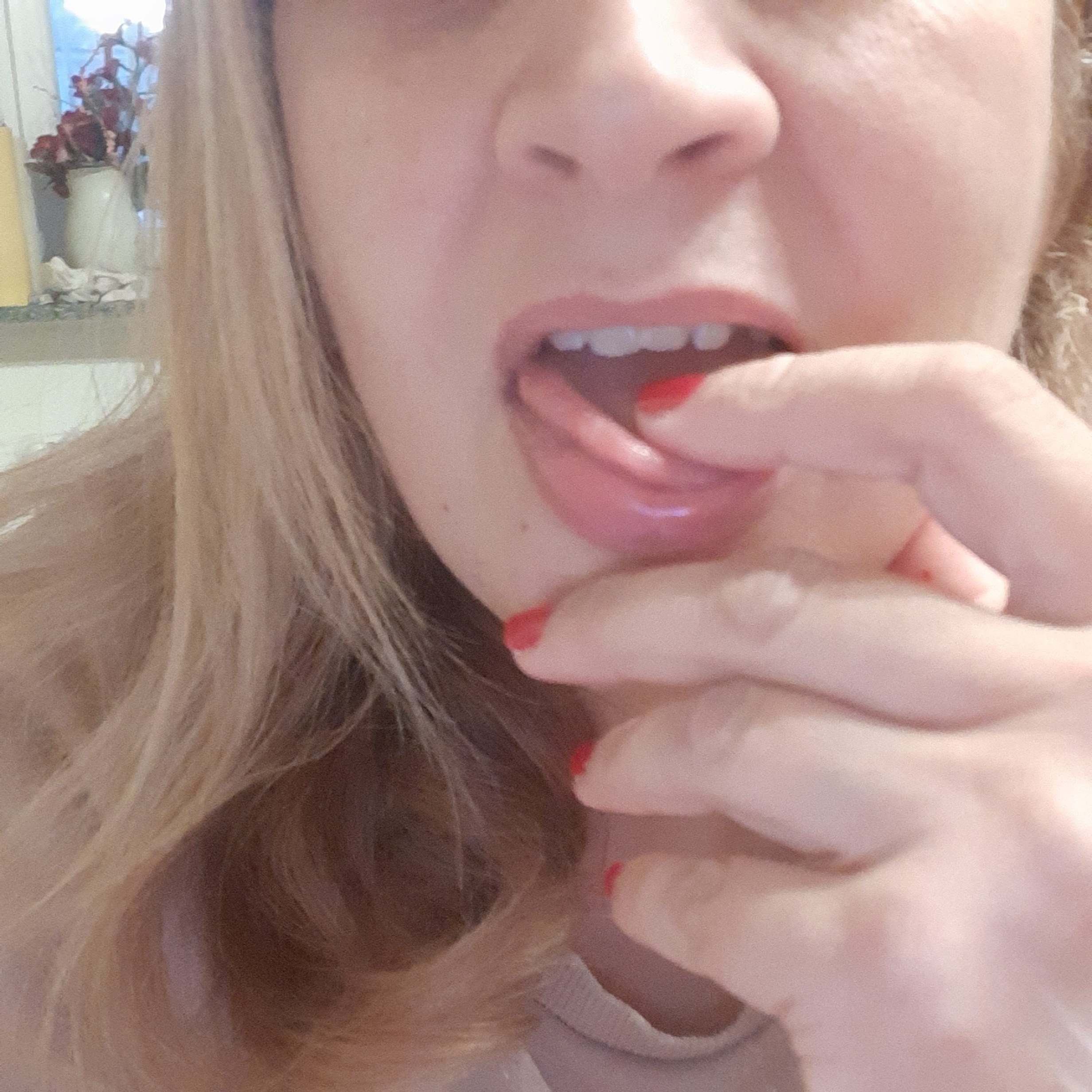 Casalinga fantastica header