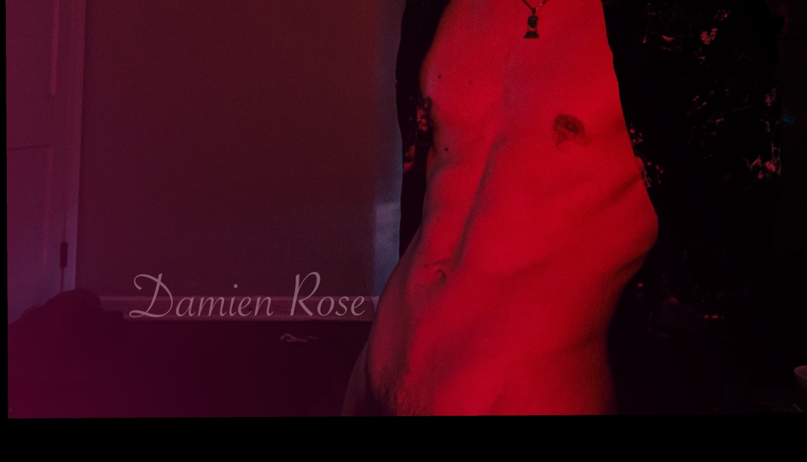 Damien Rose header