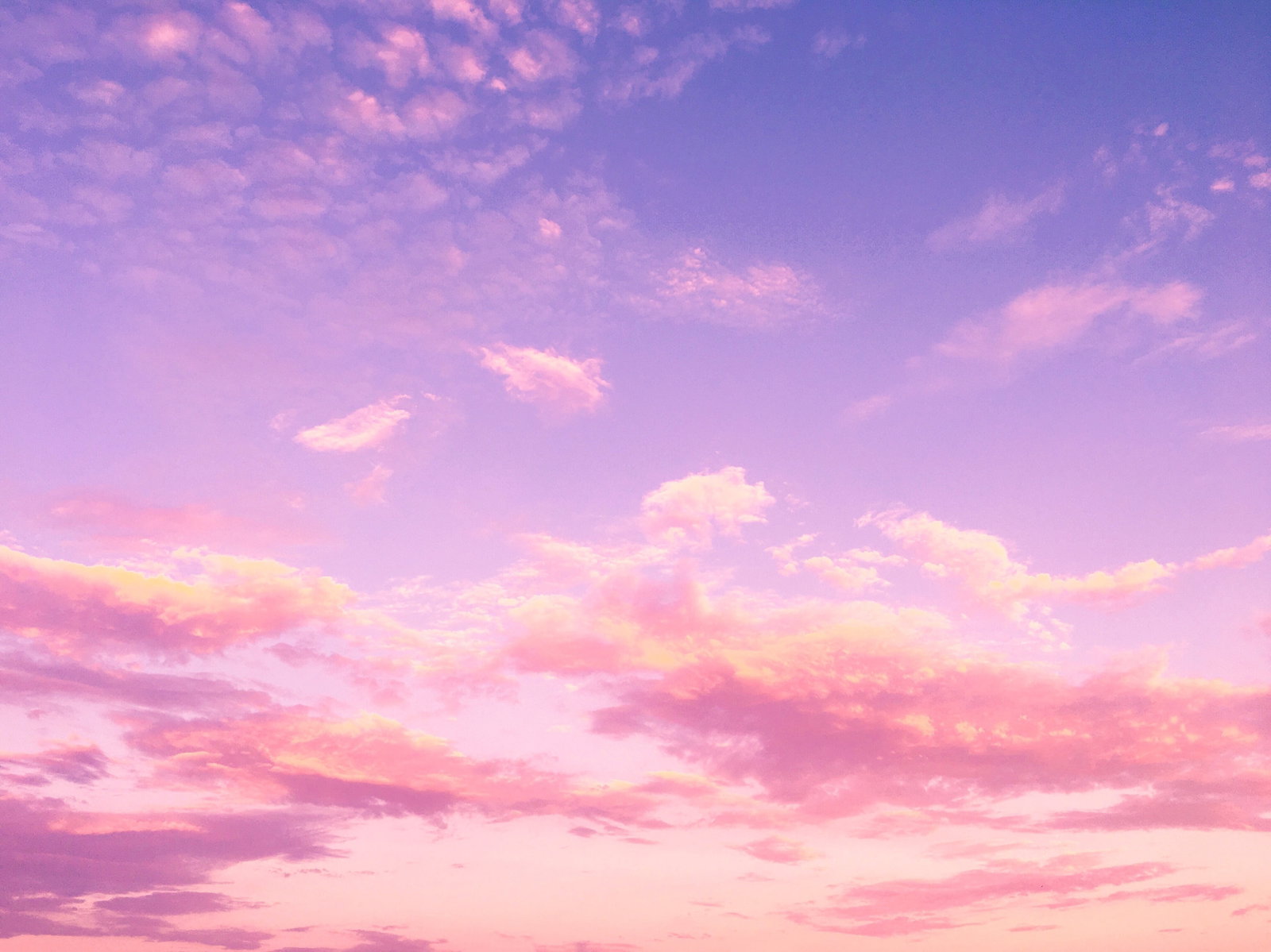 CharlotteLouren header