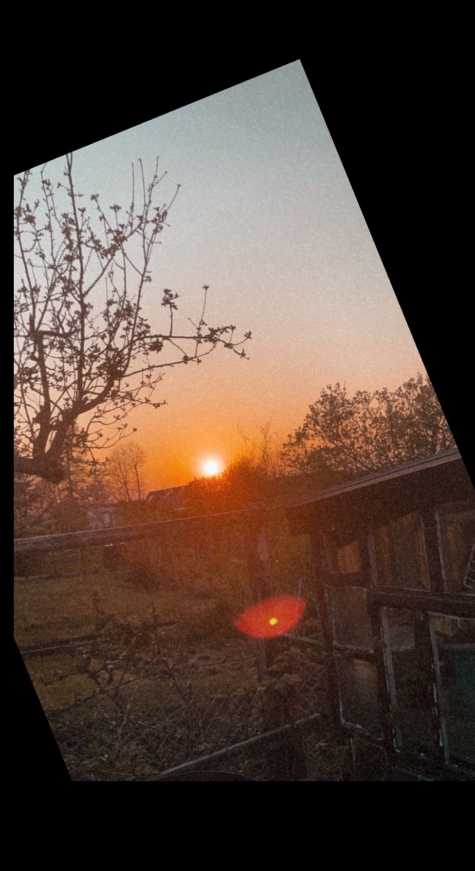 Cuteboyfinn69 header