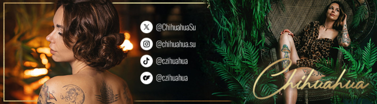 Pola header