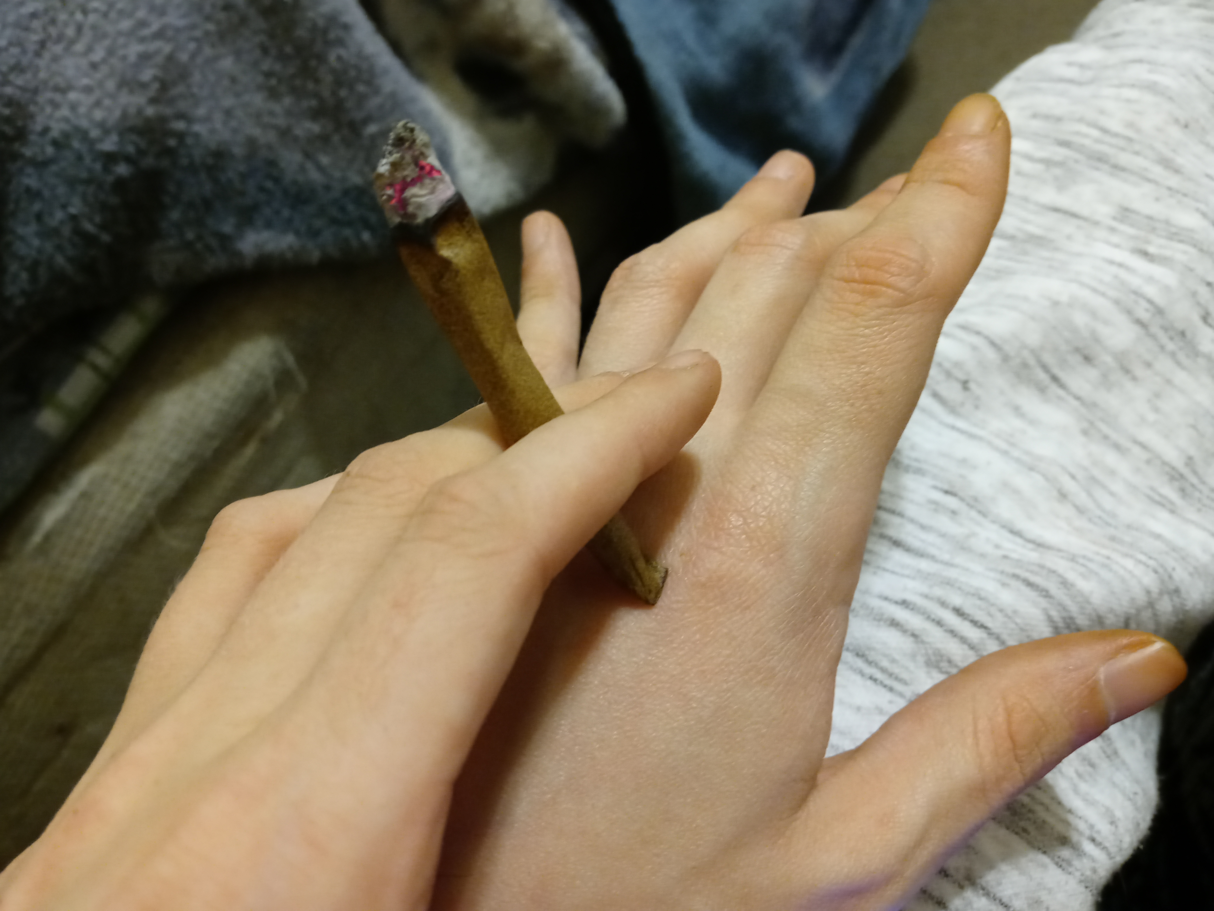 DankestTouchie header