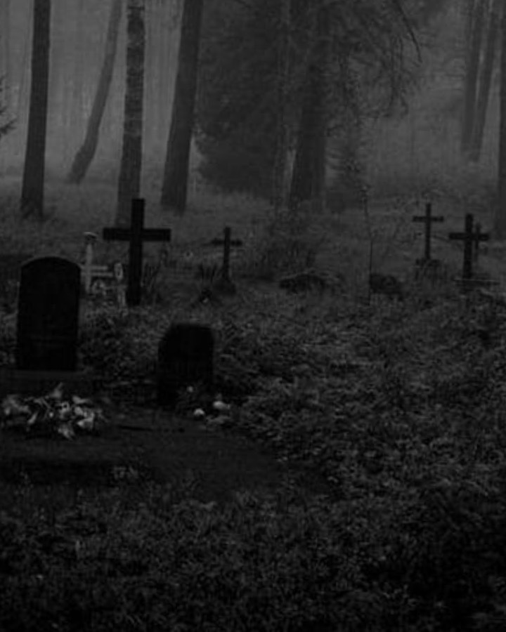 Illusionist Rebel header