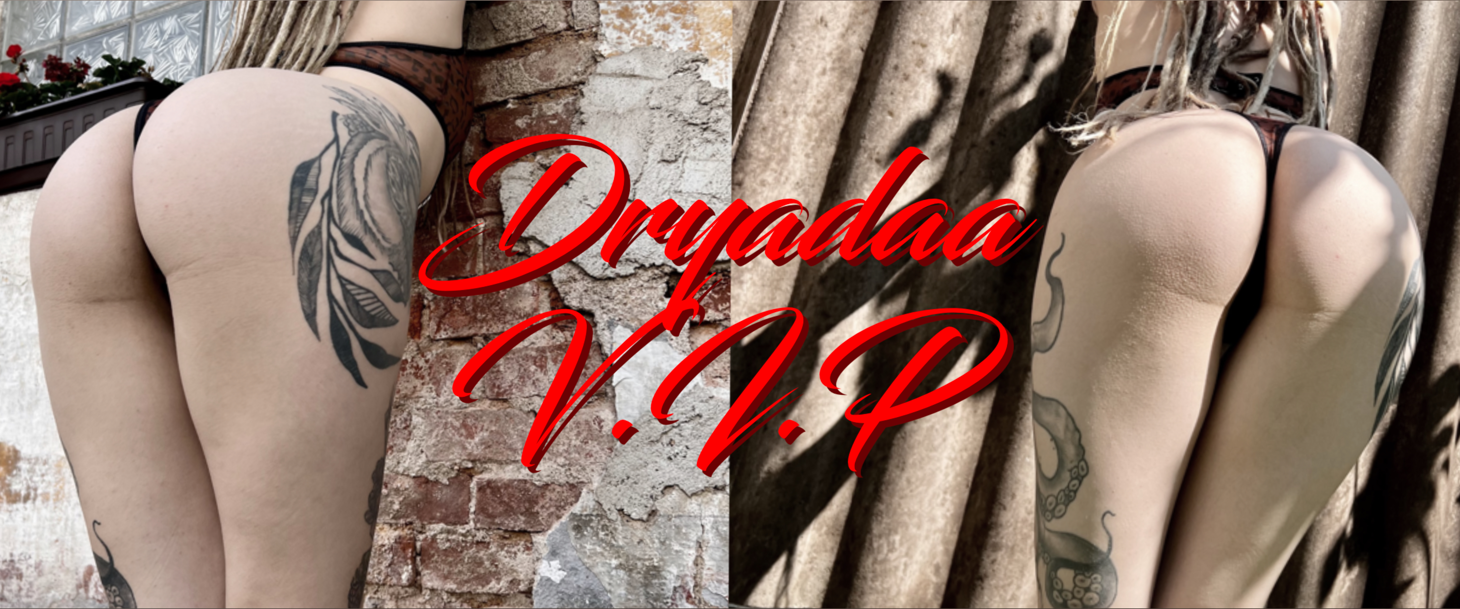 🖤 Počmáraná Dryáda 🖤 header