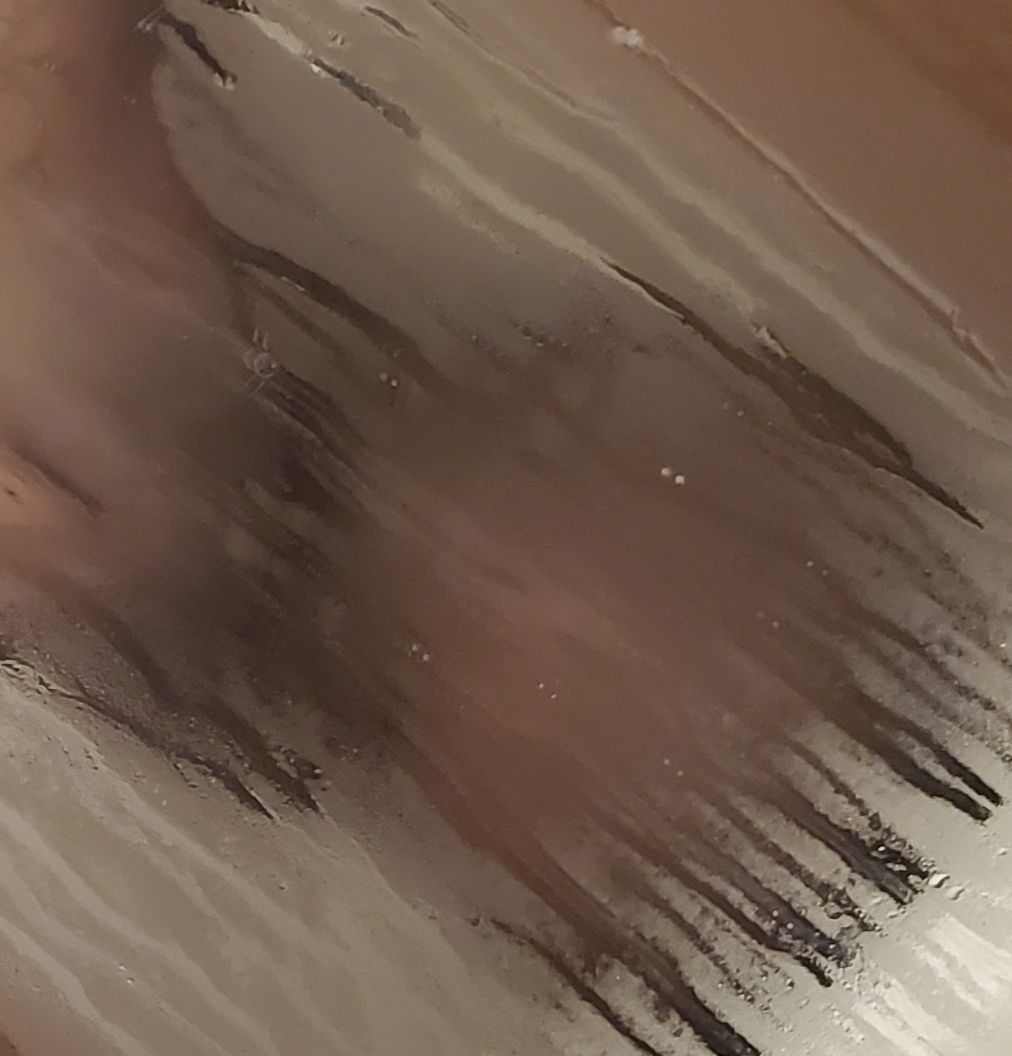 Southern Ebony header