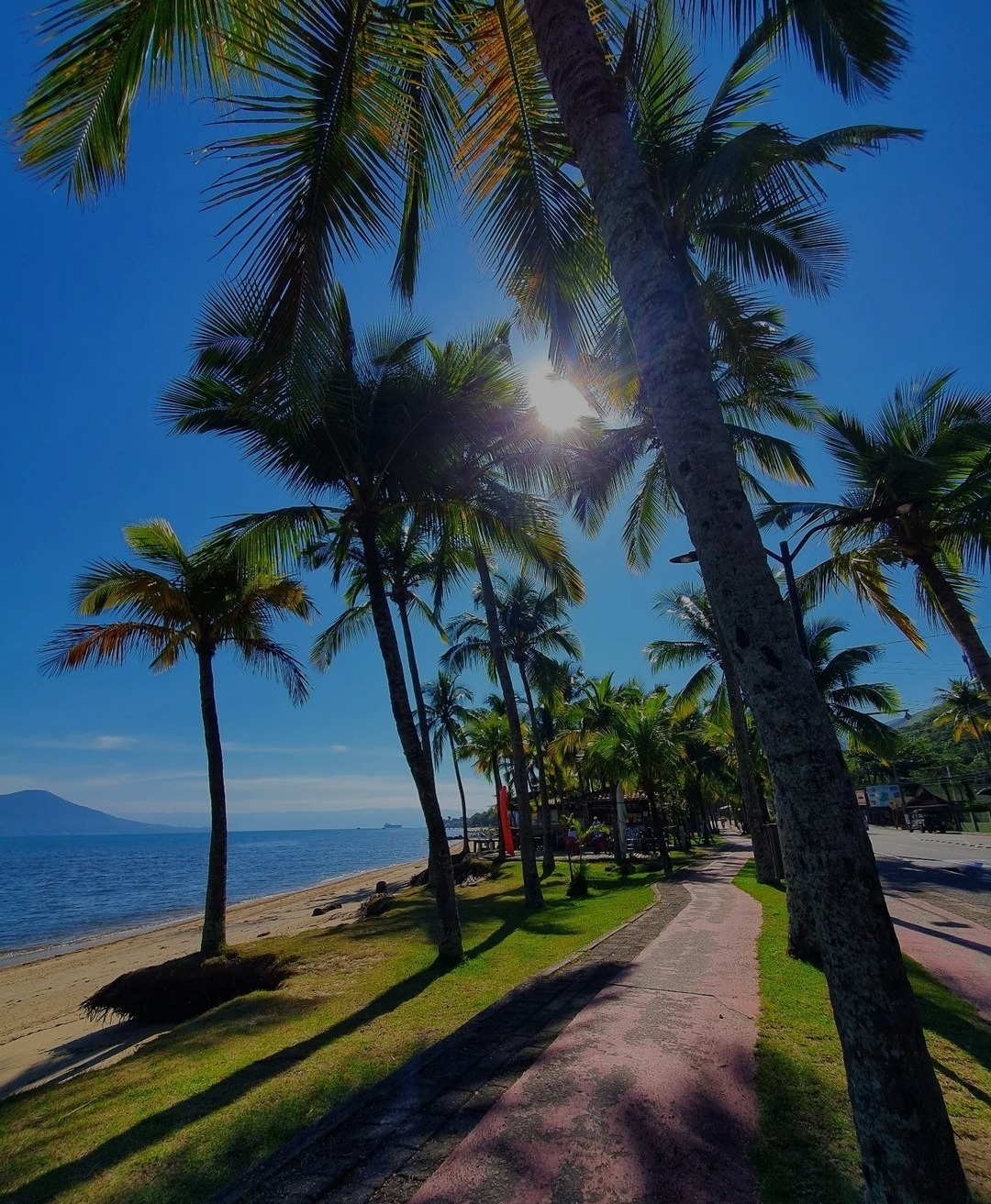 Ebony Jacqueline header