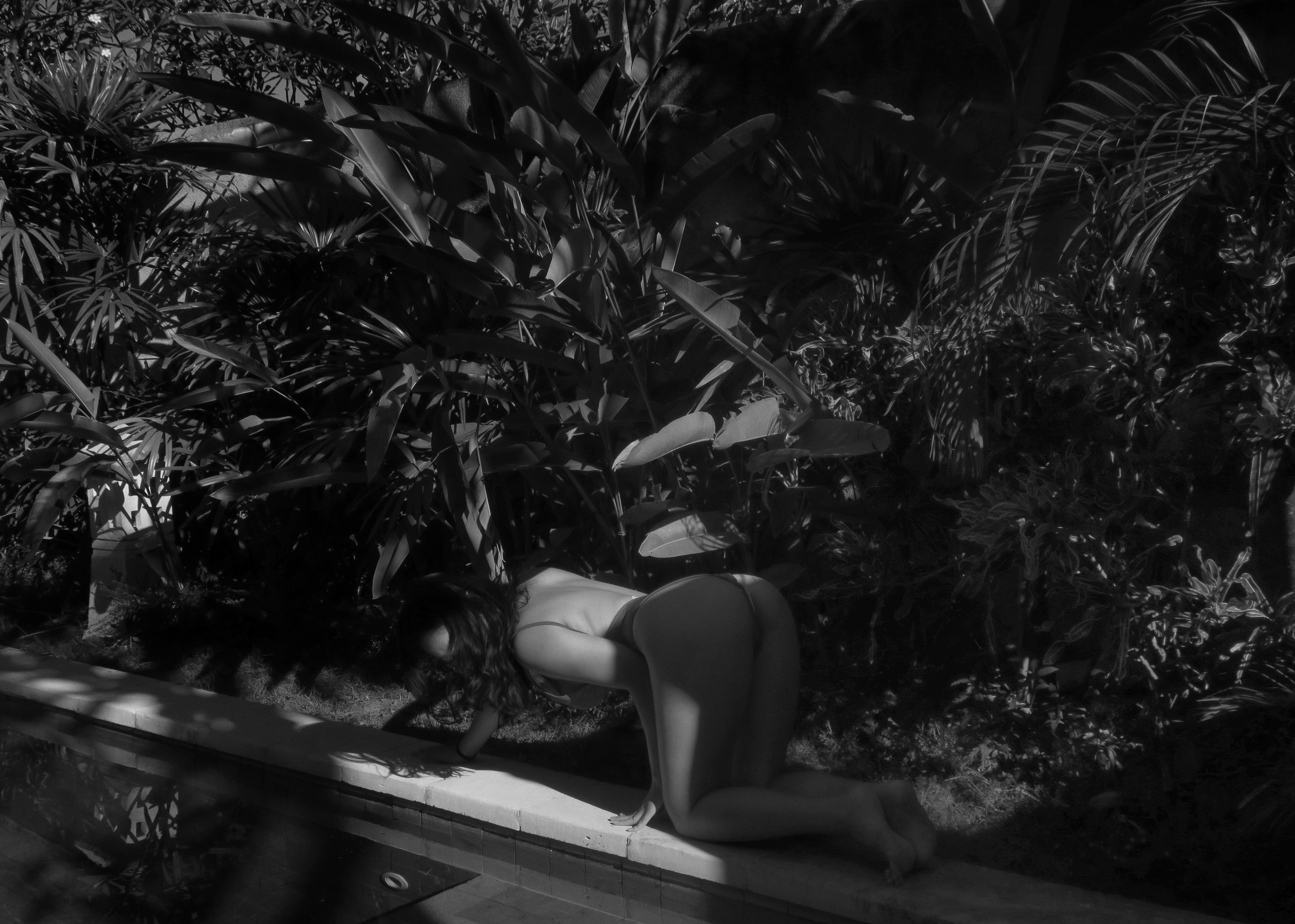echoraum header