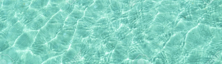 EJ Bikini Babes header
