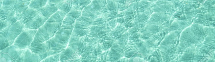EJ Bikini Babes header