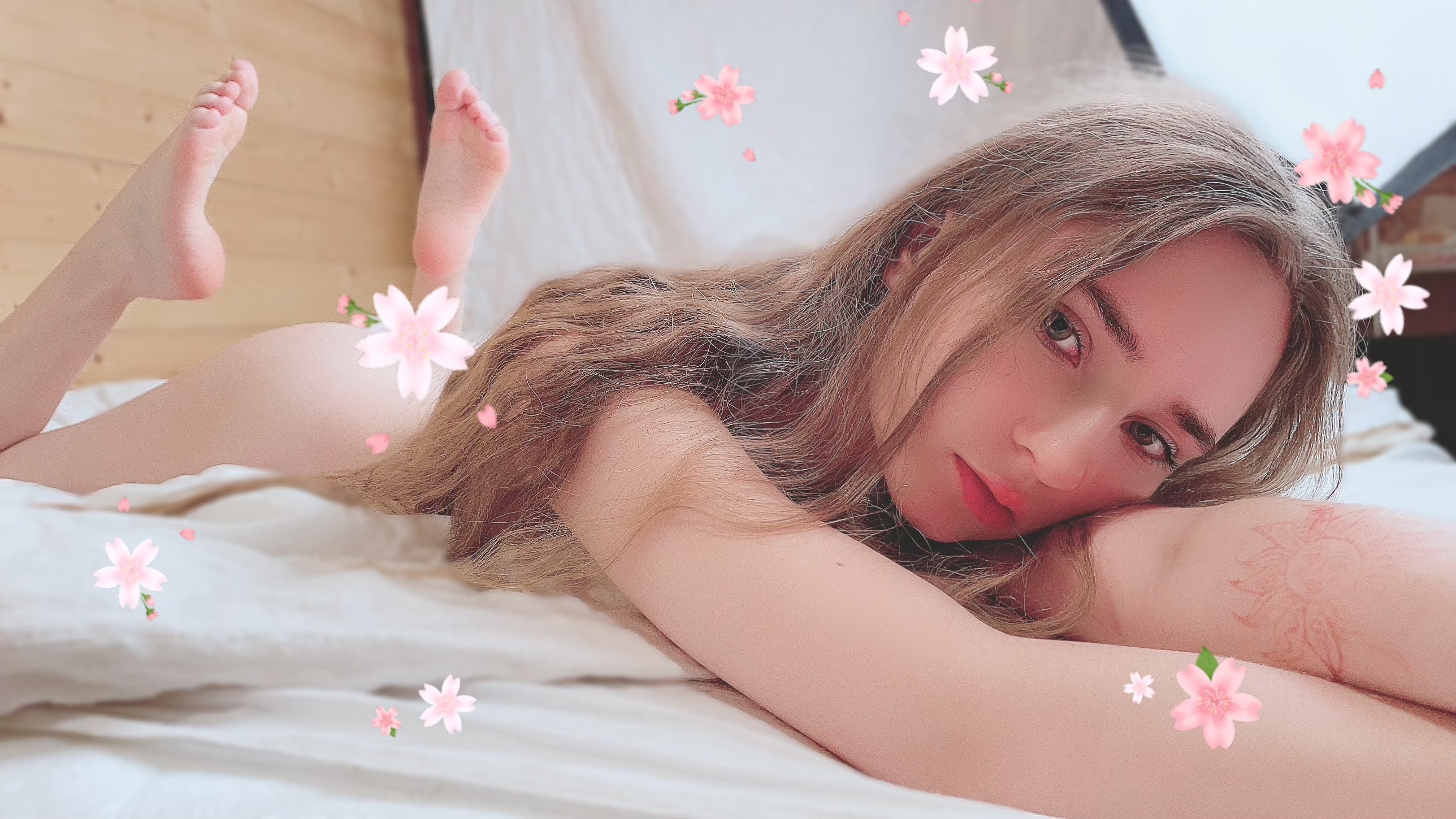 ✨ Kitten ⛈ header