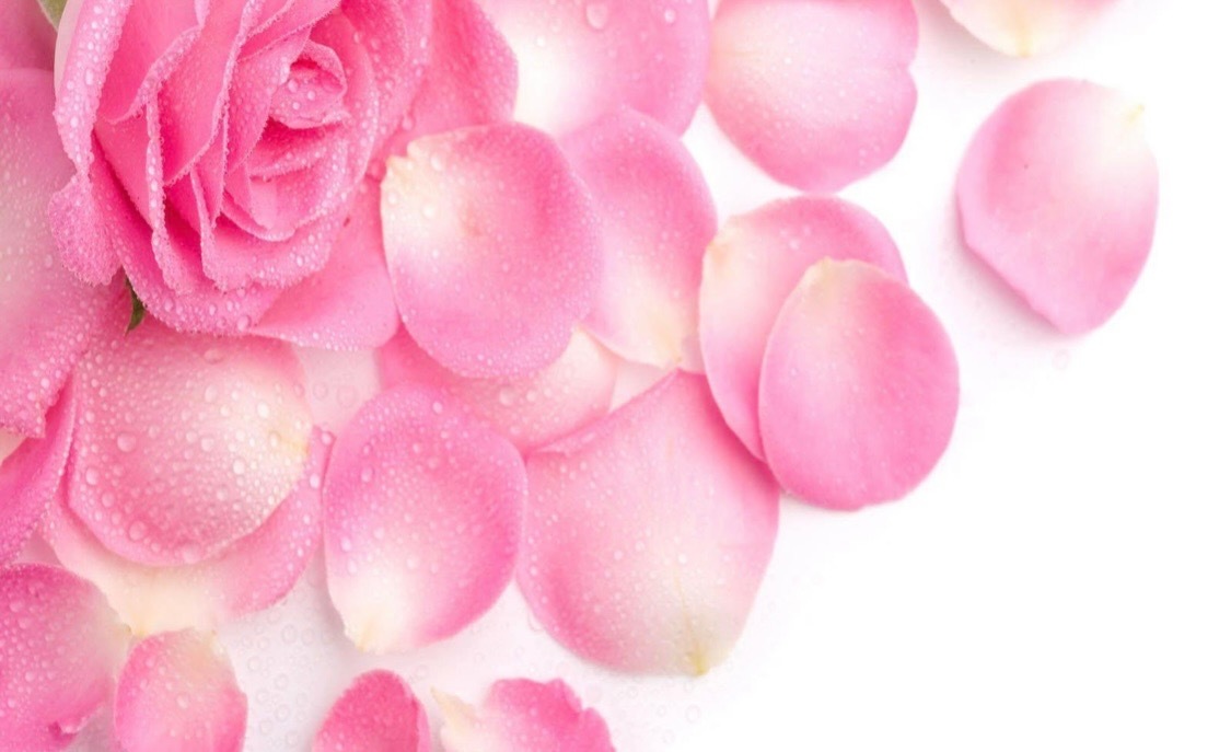 Exclusive Babe header