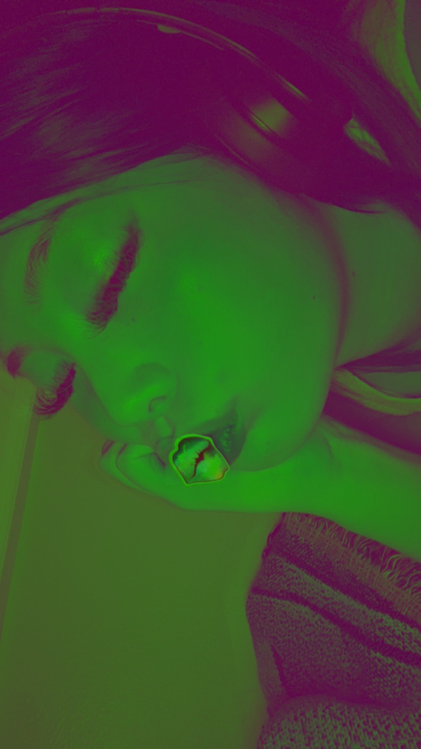 ฅ^•ﻌ•^ฅ header