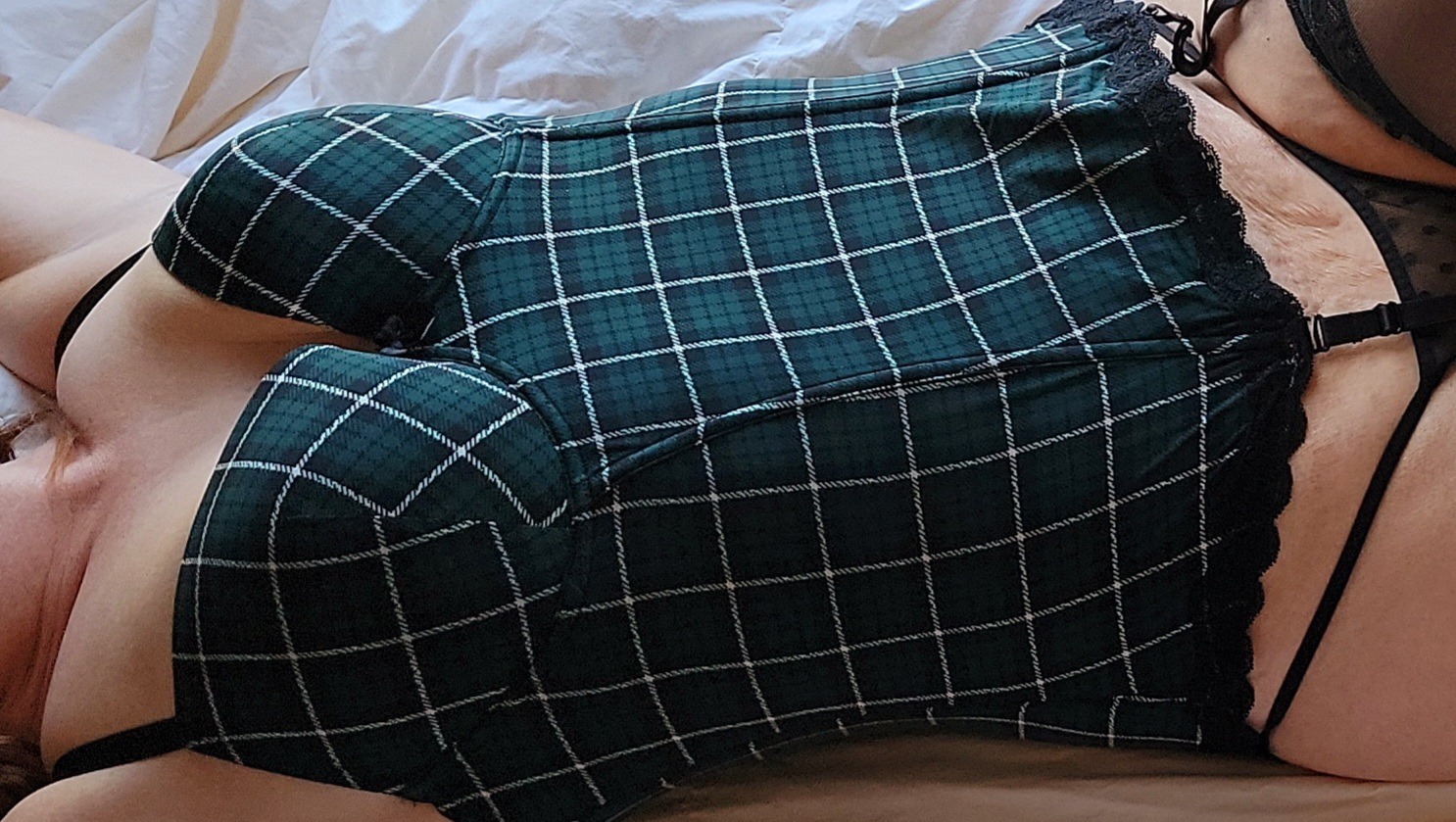 Ginger_Shapes header