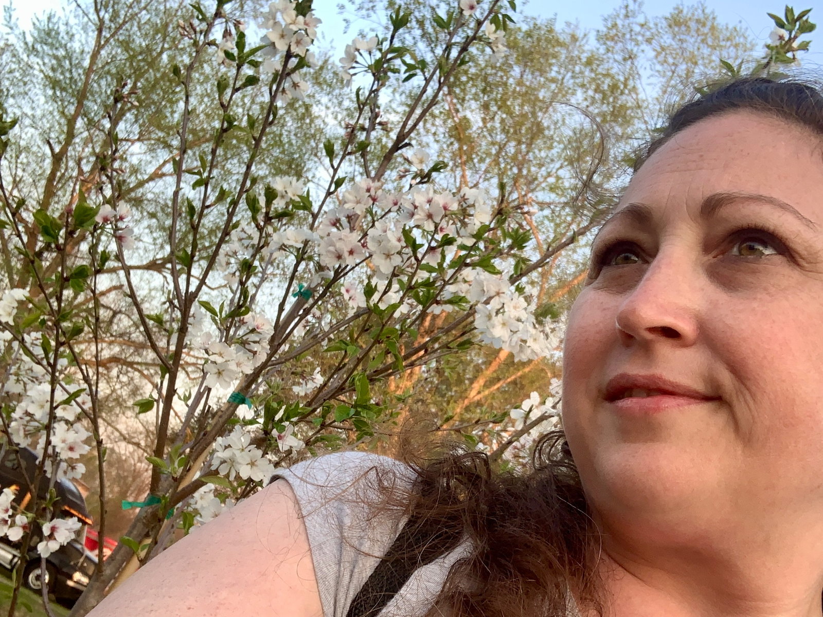 Amandaxxx header