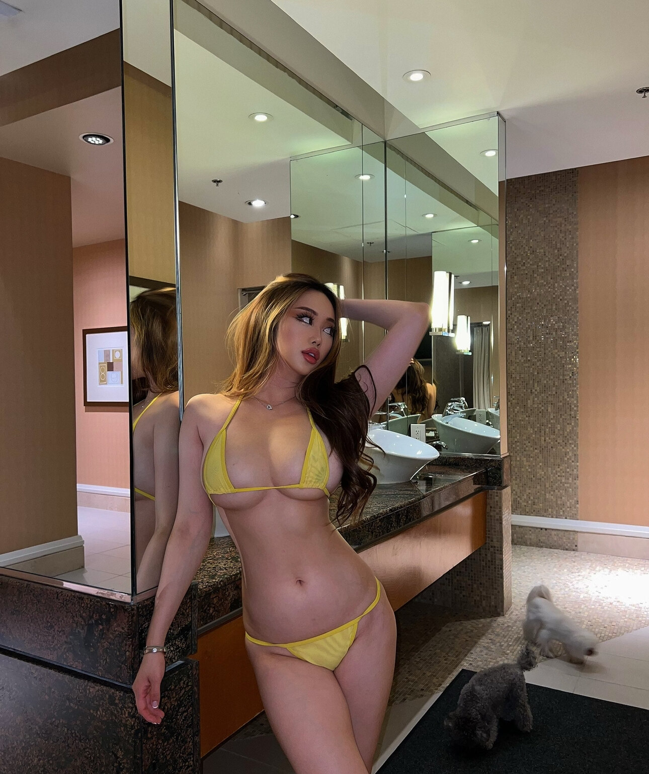 Gracie ❤️‍🔥 header