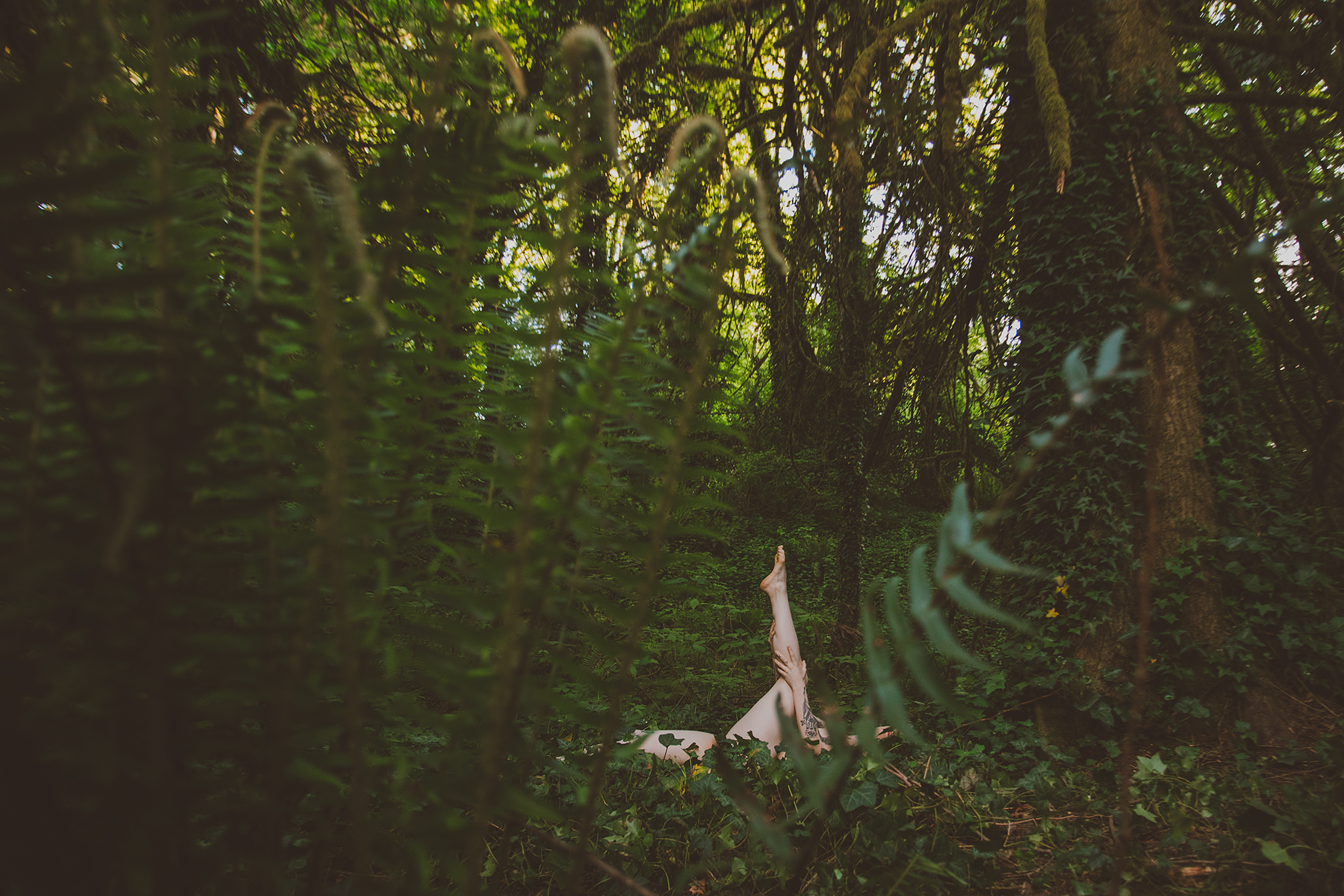 Jenna header