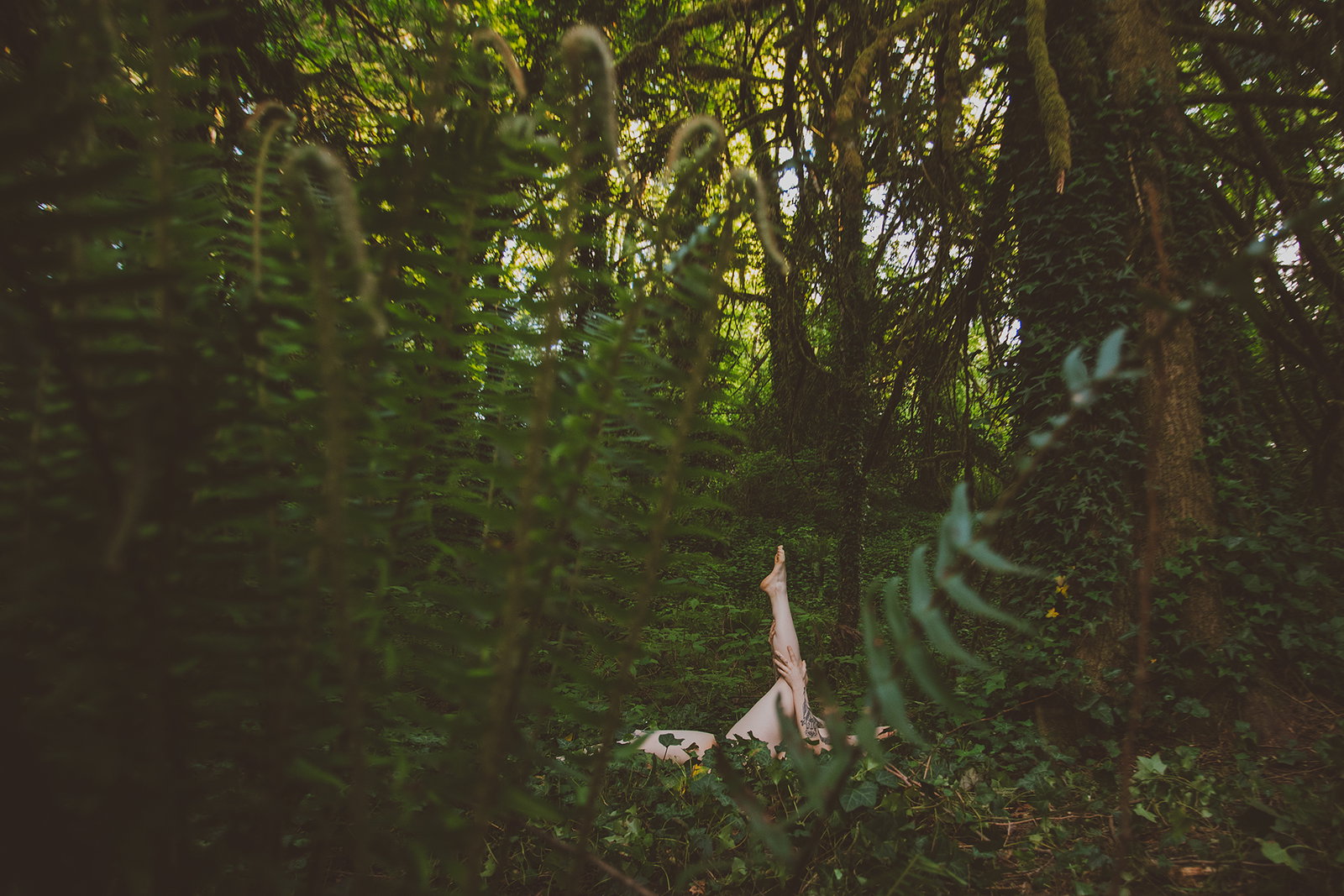 Jenna header
