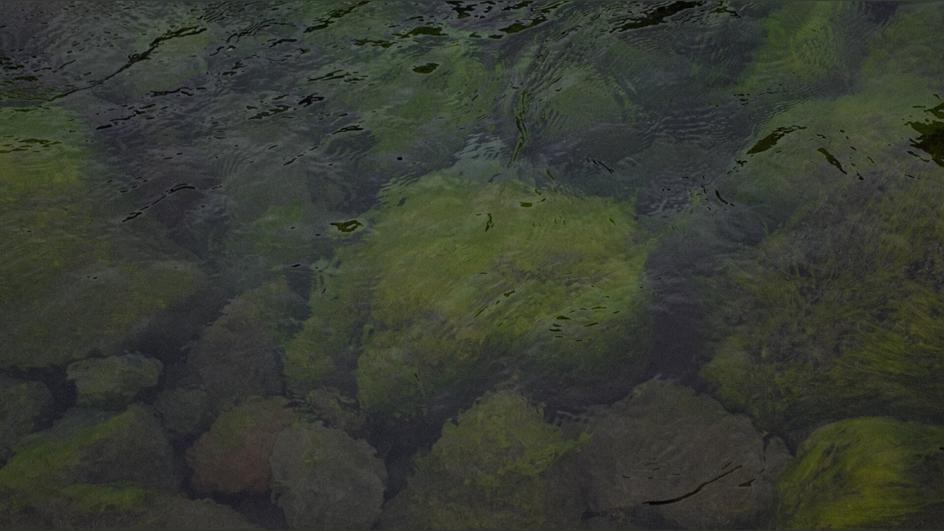 Julieta header