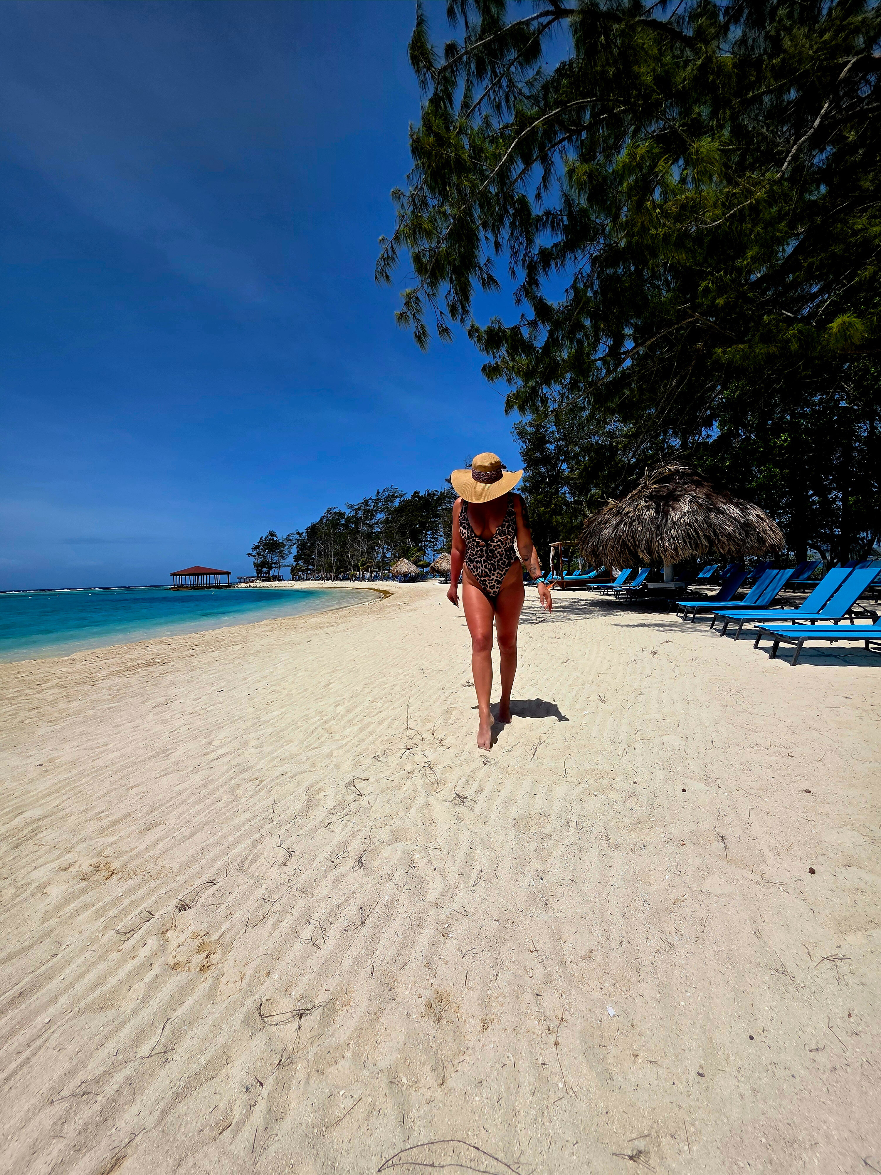 ‼️Just Queen ‼️ header