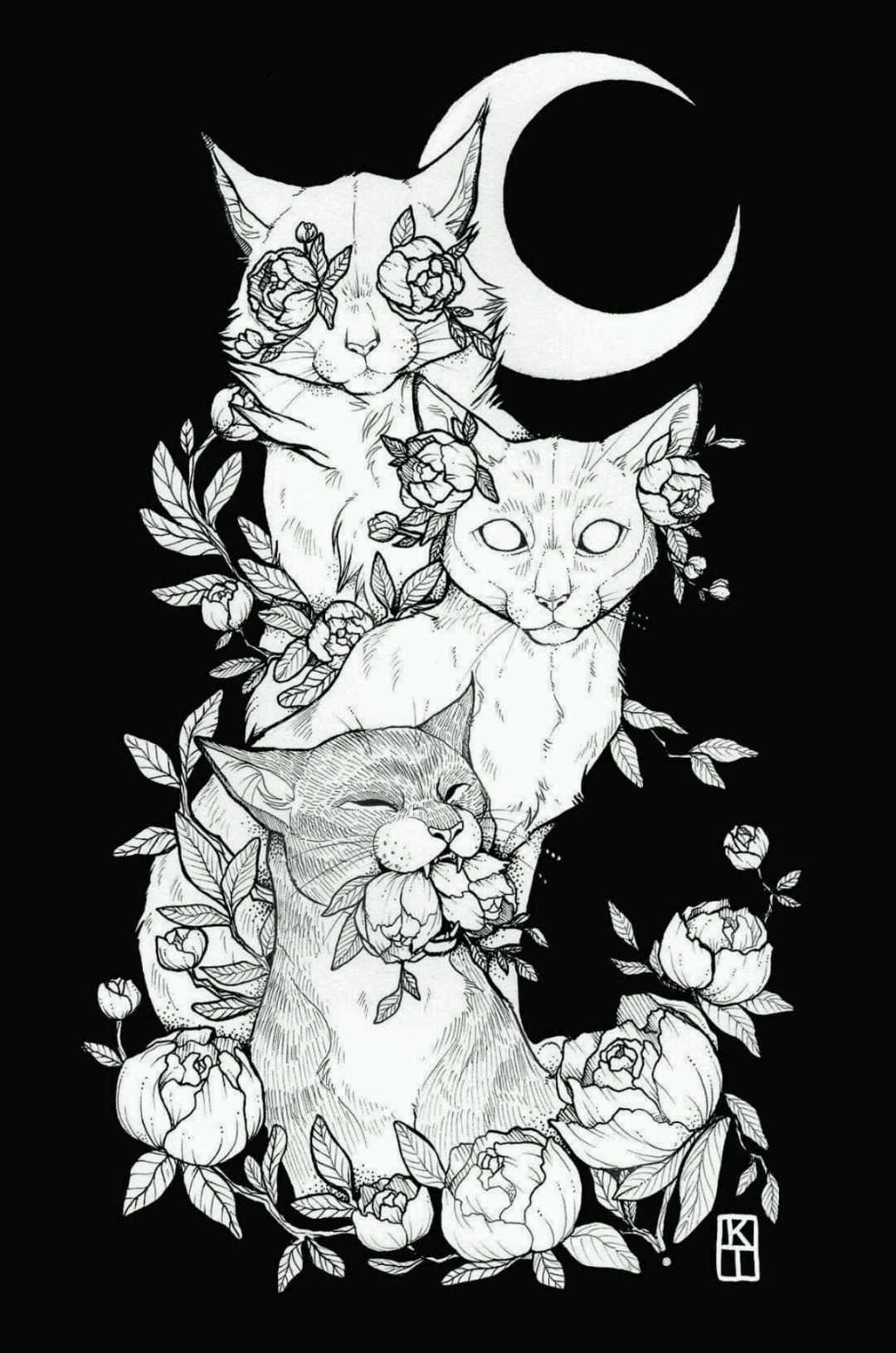 Kissed by Fire header