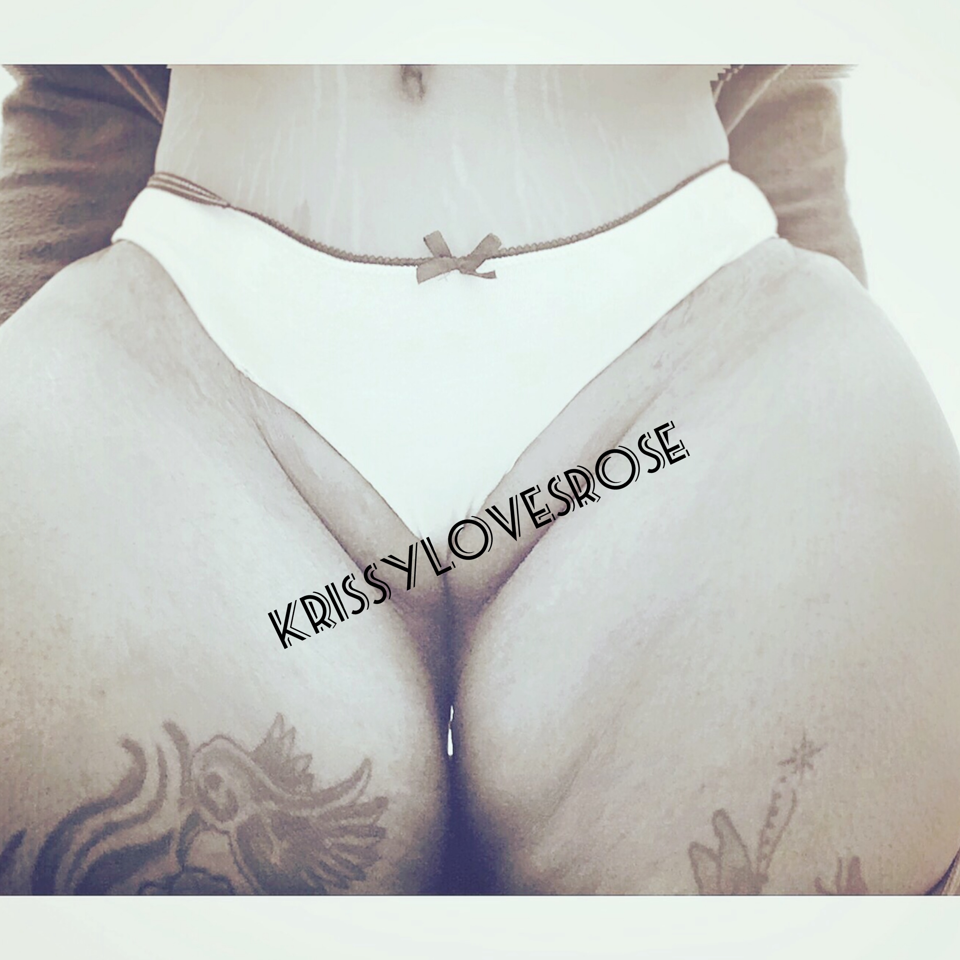 Krissylovesroses header