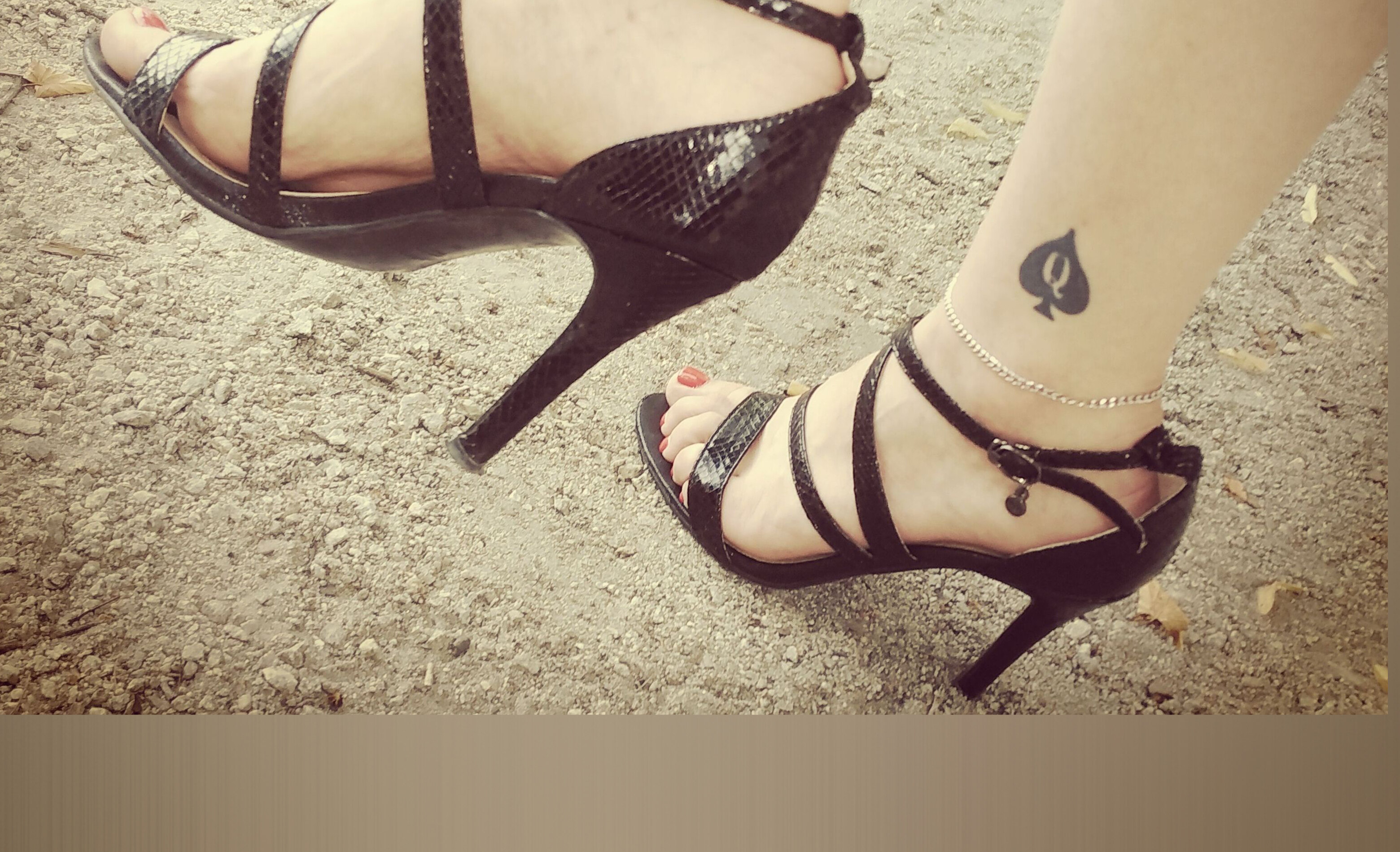 Lady Klementyna header