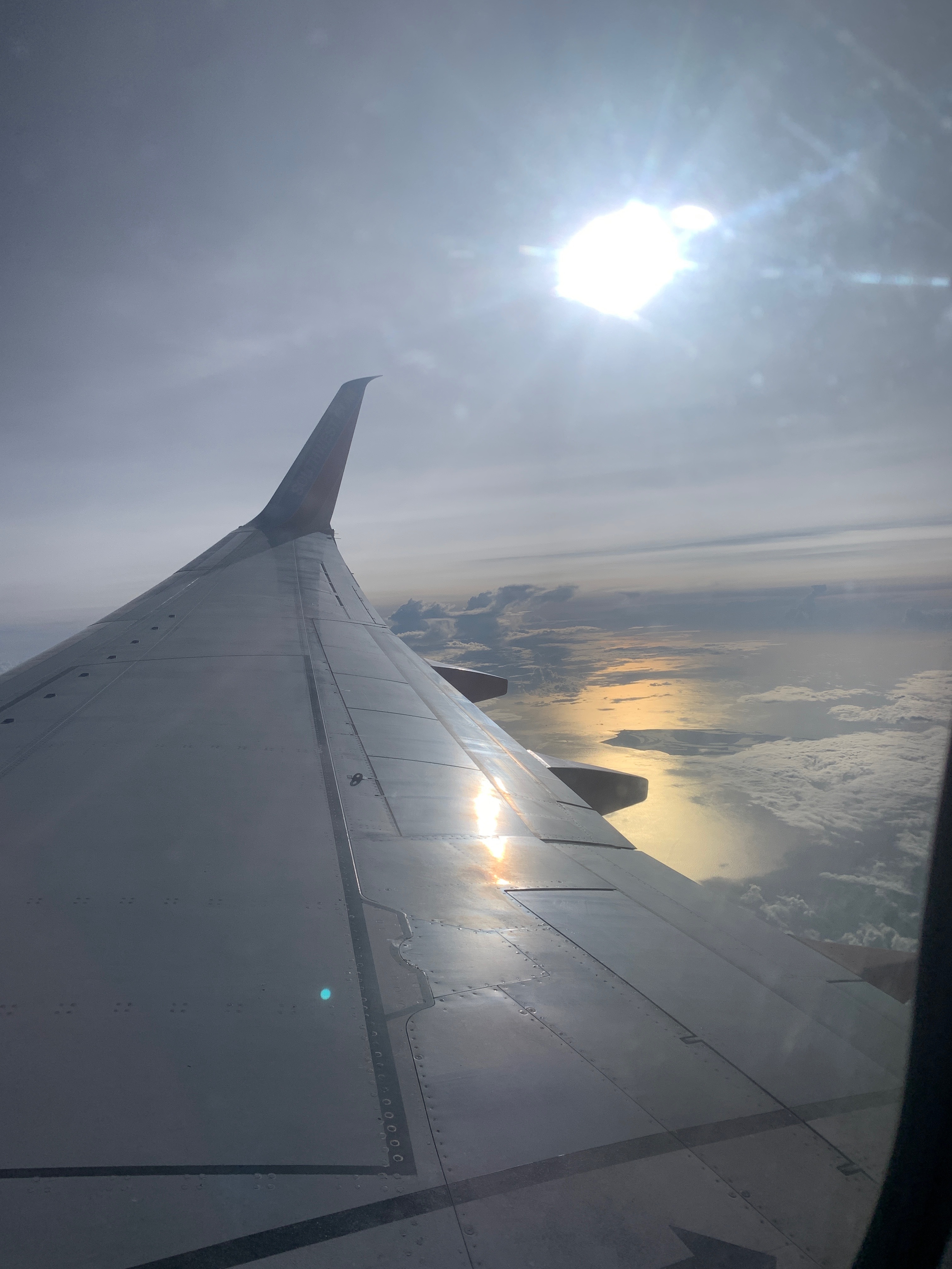 Ladycreamypr💦 header