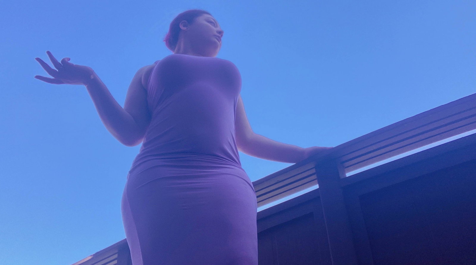 Lady Lavasha header