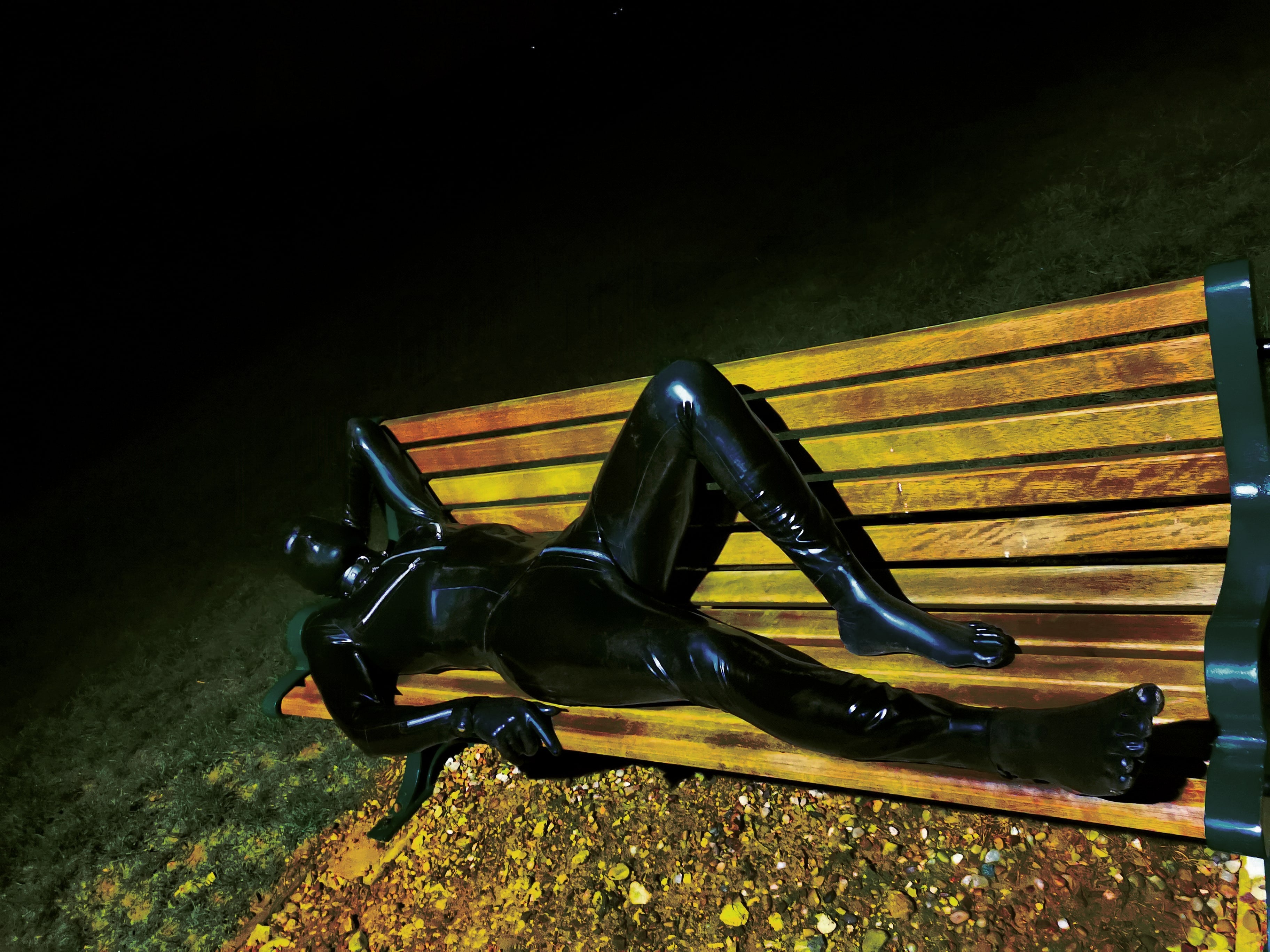 AlphaPupBenji header