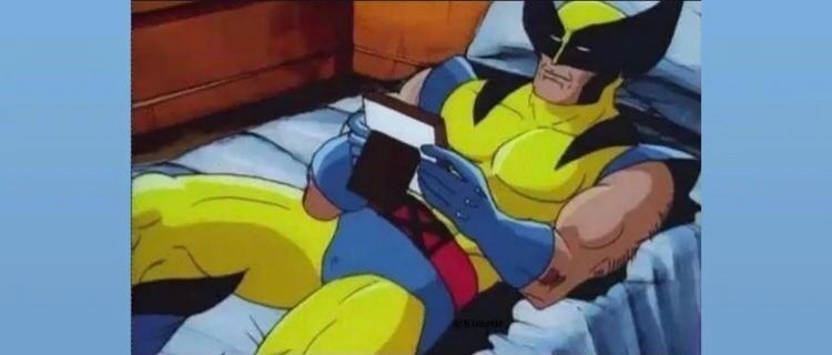 Honey Bunny ๐ฏ header