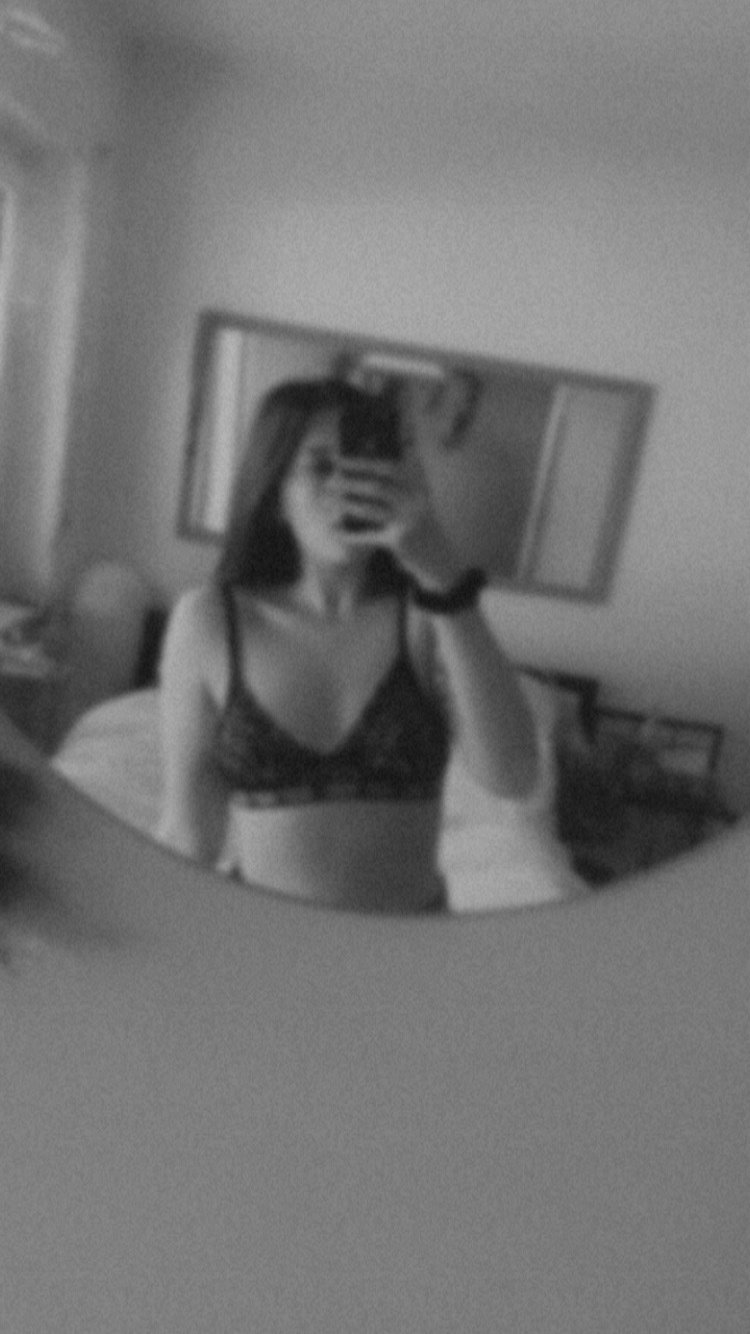 Laurasaur header