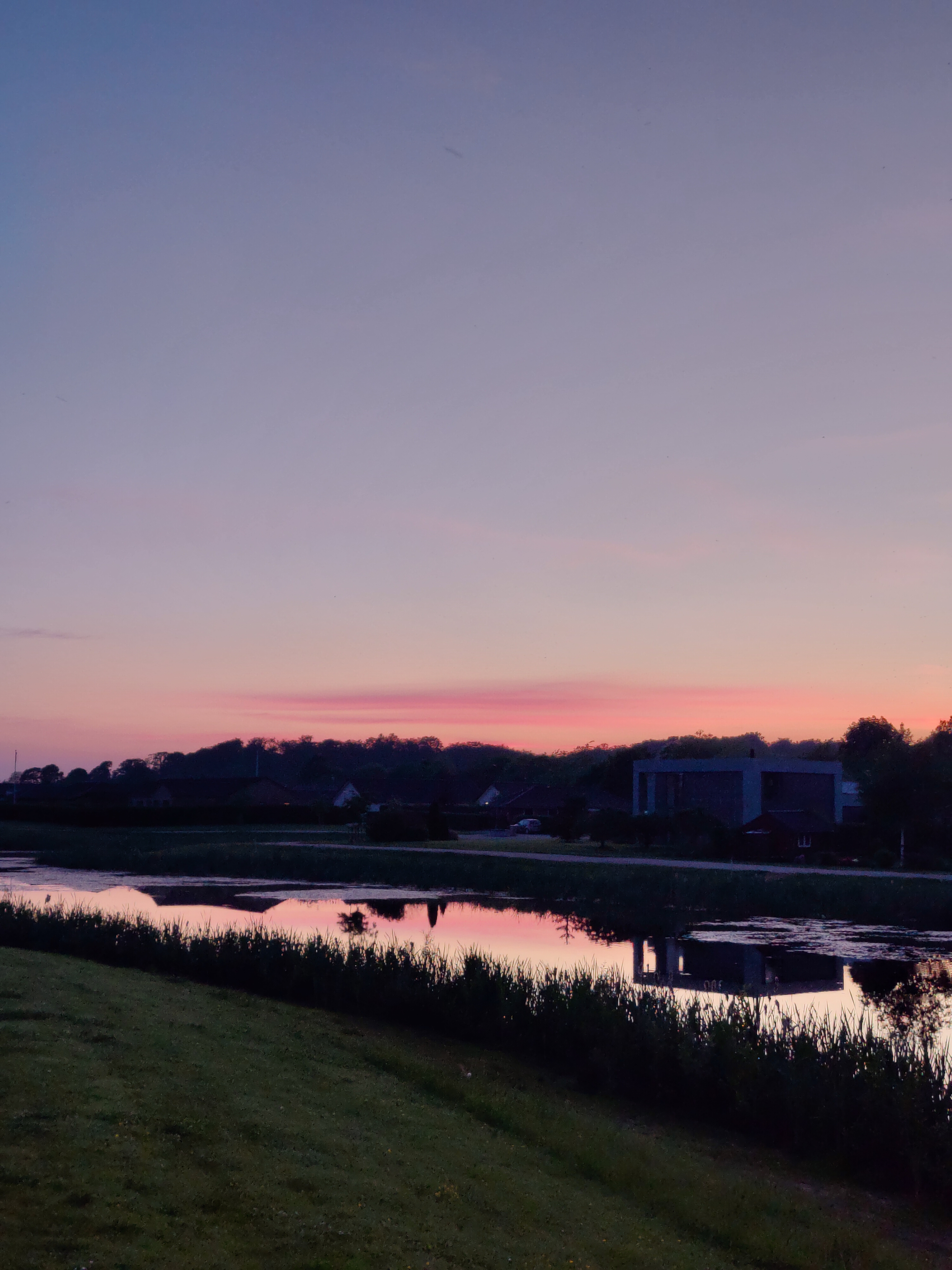 Lexy Sky header
