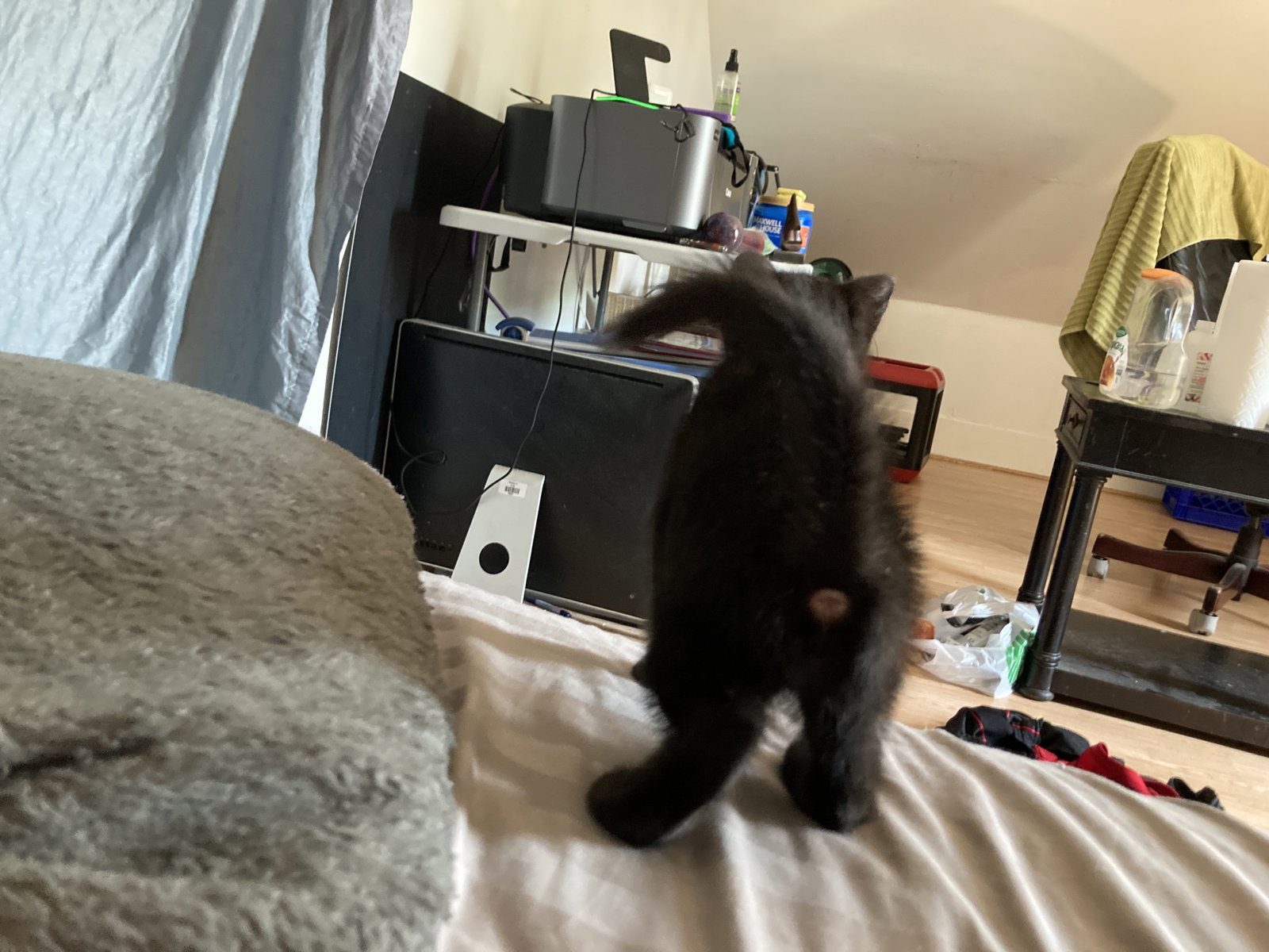 Lucifur header
